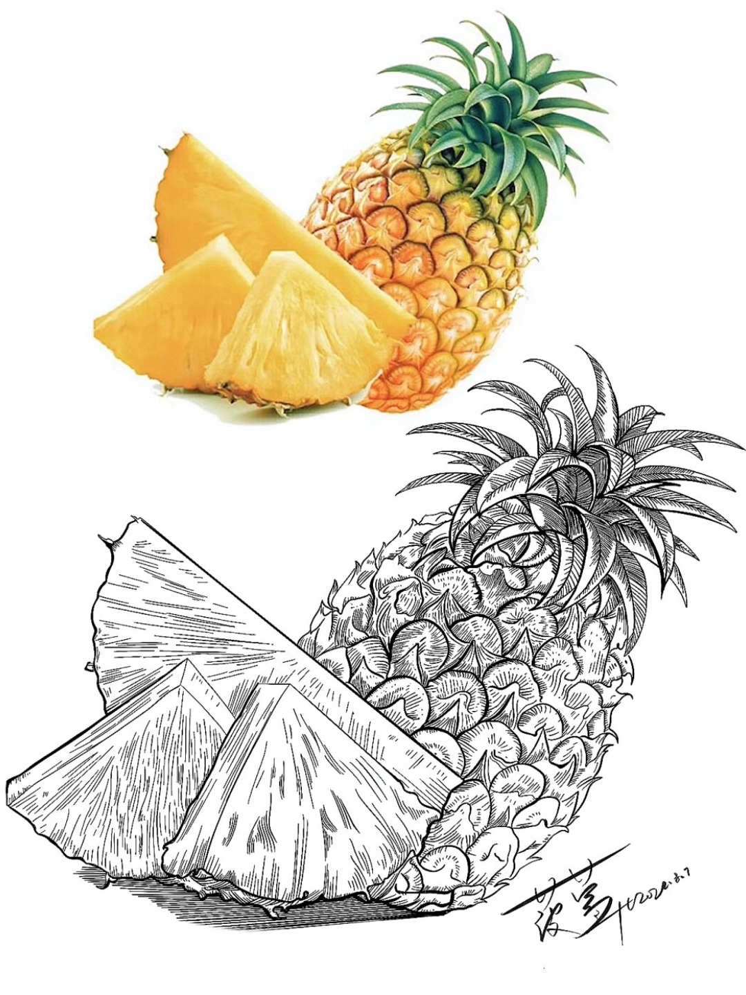 水果写生合集线描速写素材分享