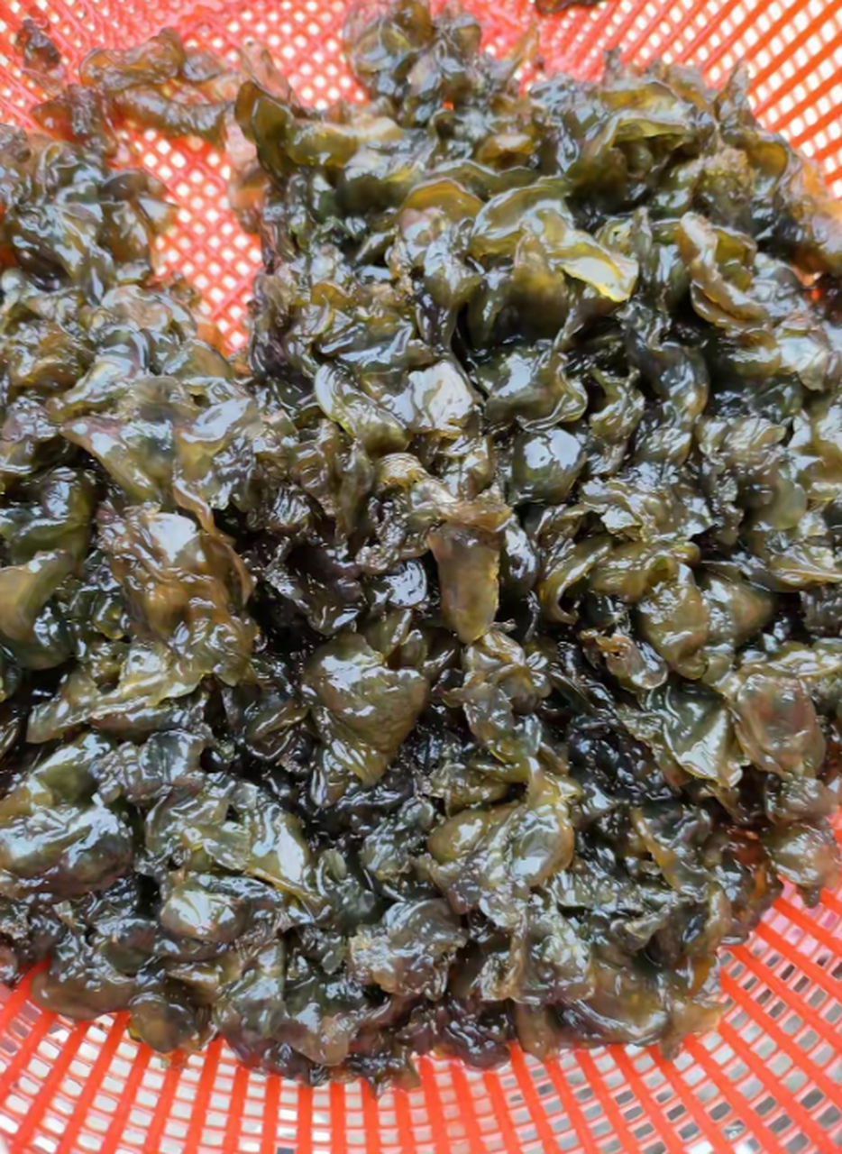 有几个人认识这东西的出来报个到