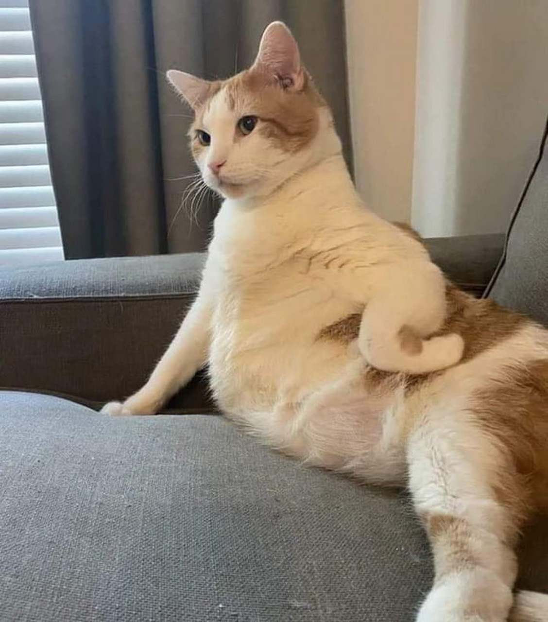 搞笑#  有事起奏无事退朝!