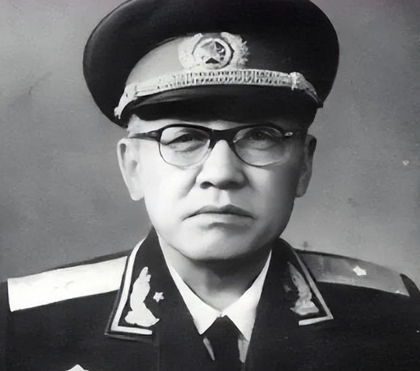 46年贺晋年东北剿匪,土匪谢文东流窜深山,老猎户:看乌