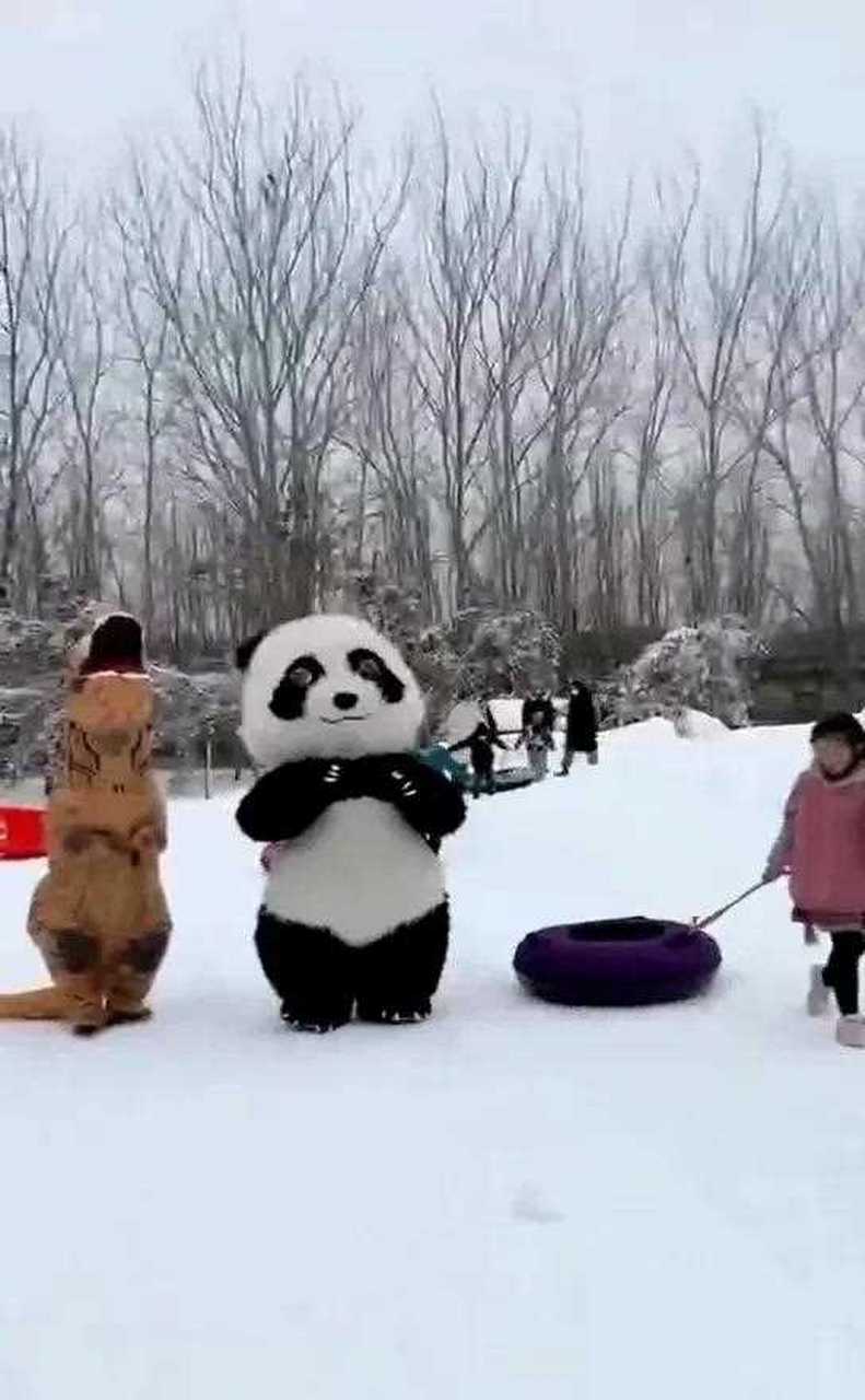 赵王欢乐城滑雪图片