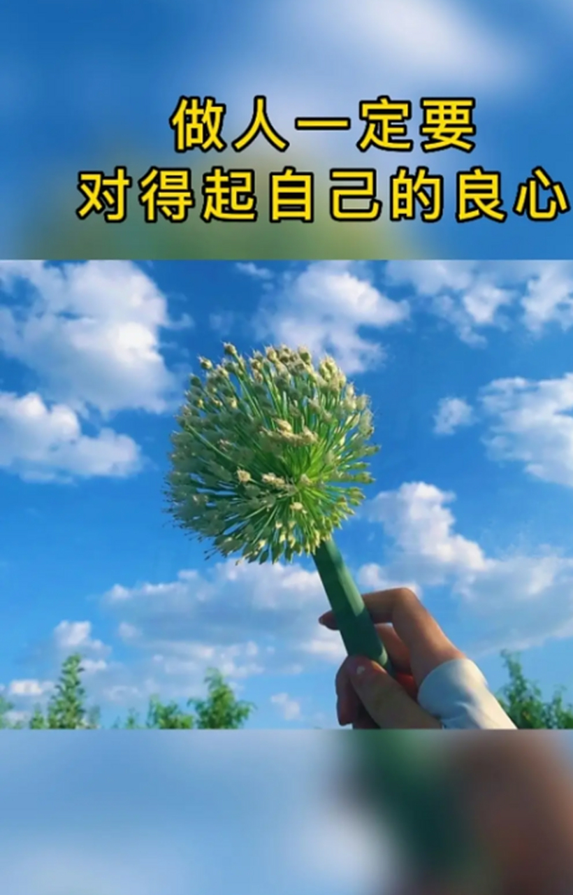 做人一定要对得起自己的良心,风雨中陪你前行的人别丢,困难时帮助你的