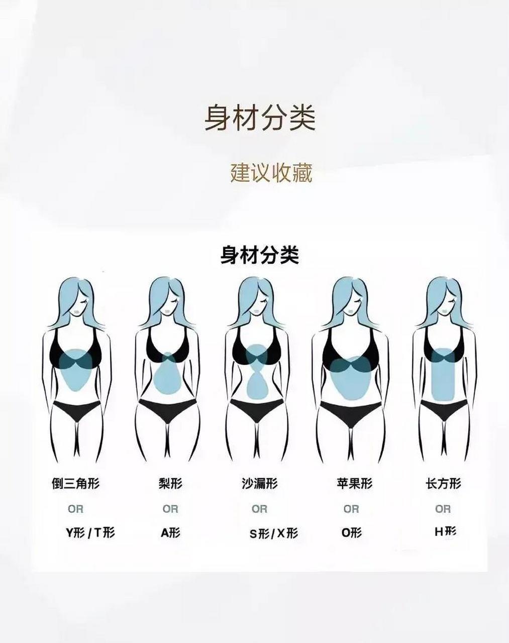 女性标准身材图示图片