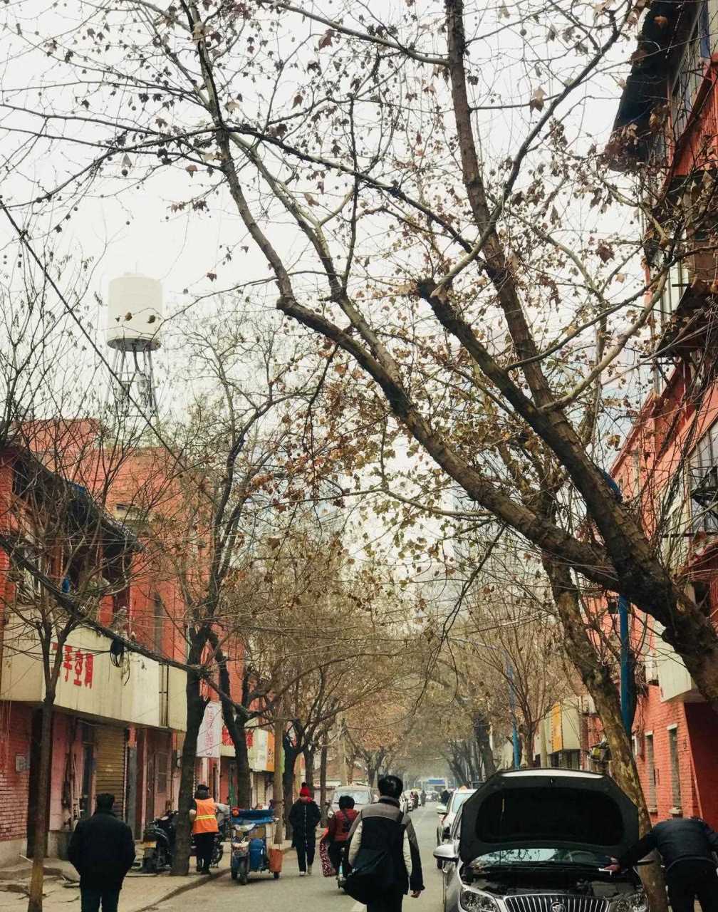 被时光遗忘的角落 对于很多老郑州来说,特别是男同志们,提起来海滩街