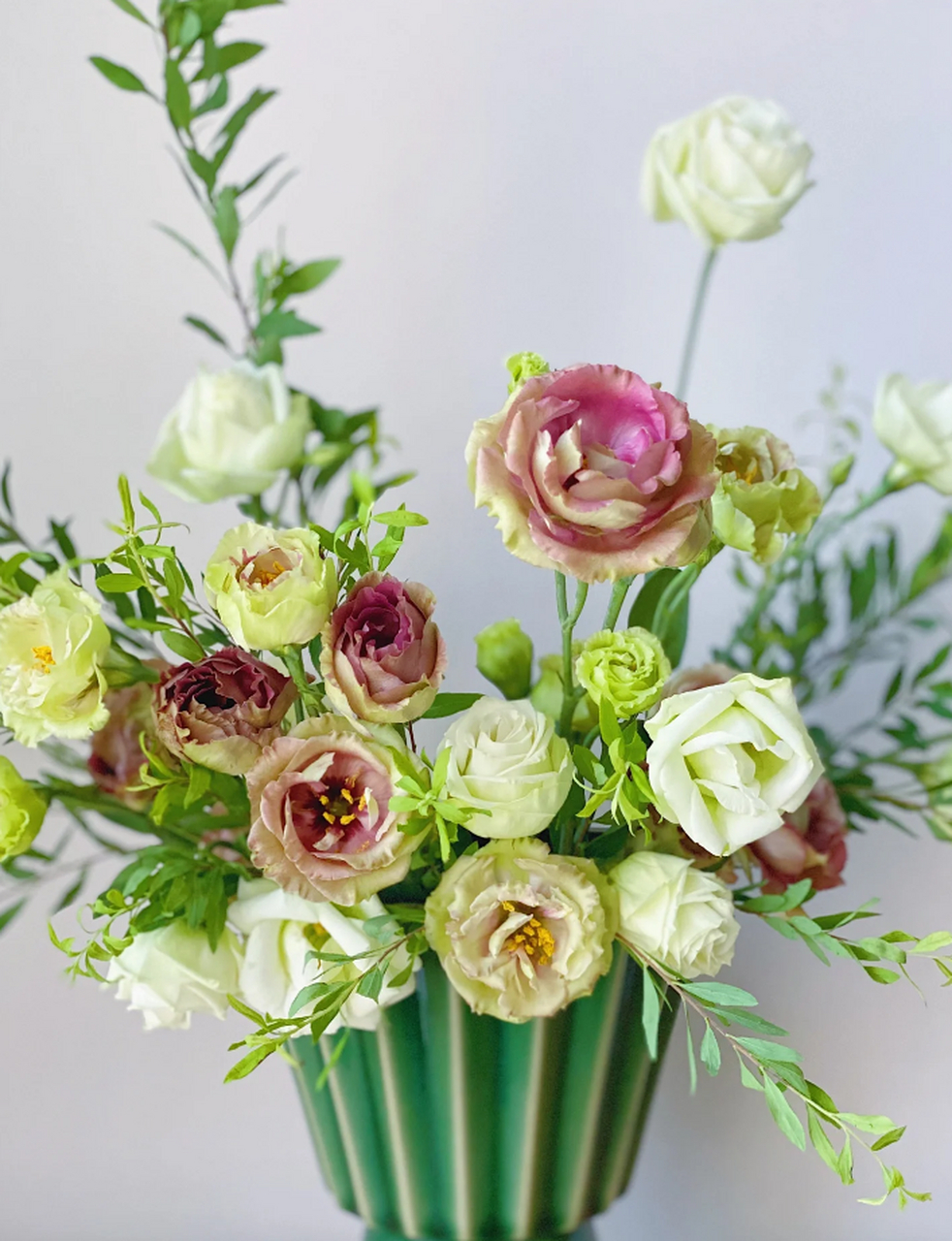 而茶色洋桔梗更是别具一格,它的颜色似乎在诉说着一种低调而又优雅的