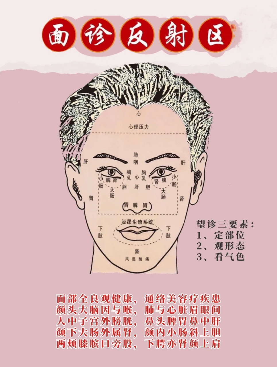 面部反射区图解,有需要的朋友收藏吧!