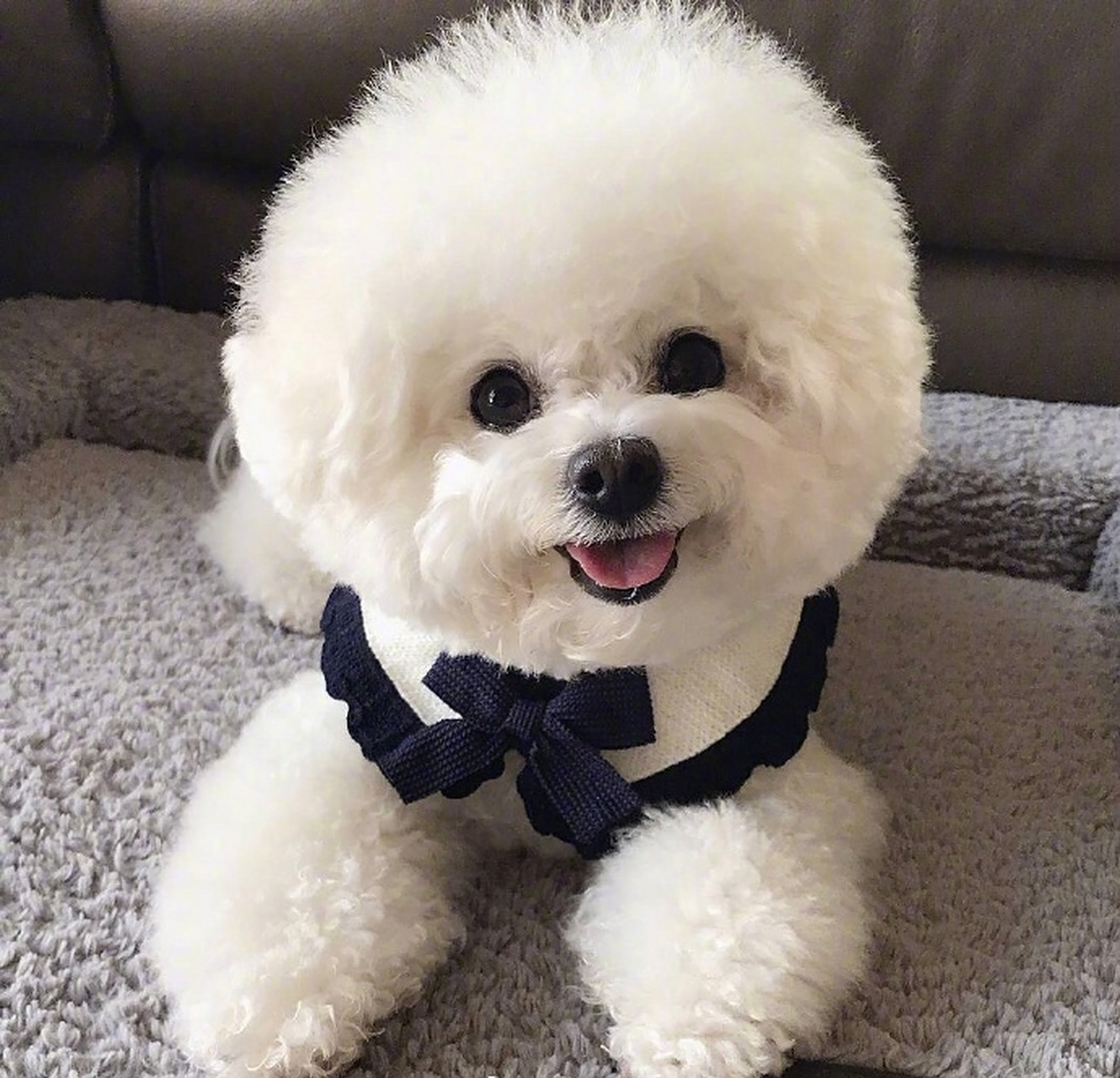 当你经历过挣钱不易,情感挫折,事业蹉跎,生产之痛