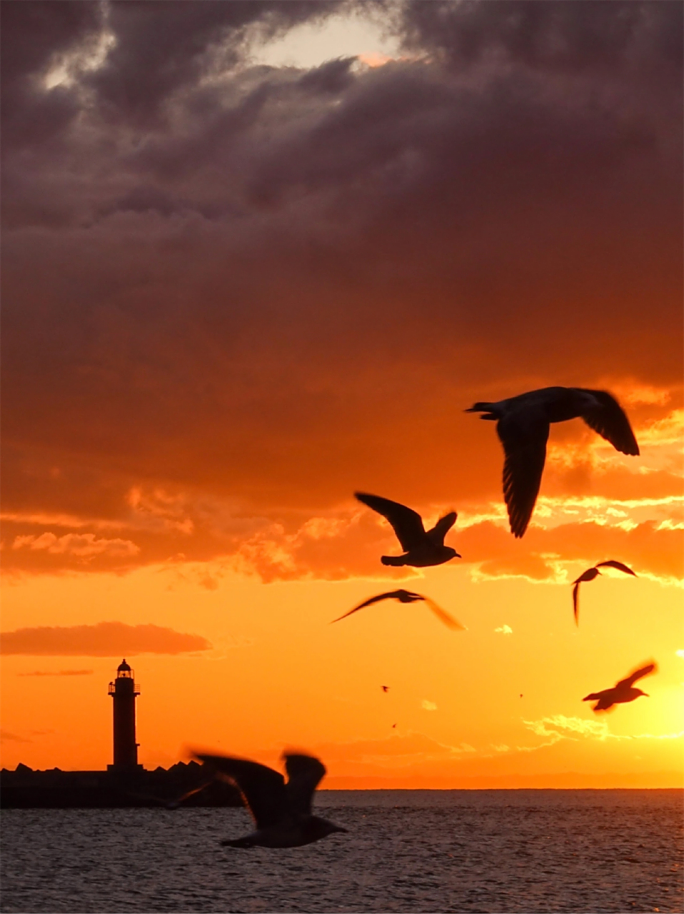 在黄昏日落时  "世界上美好的事物并不太多,傍晚时分洒在我眼里的晚霞