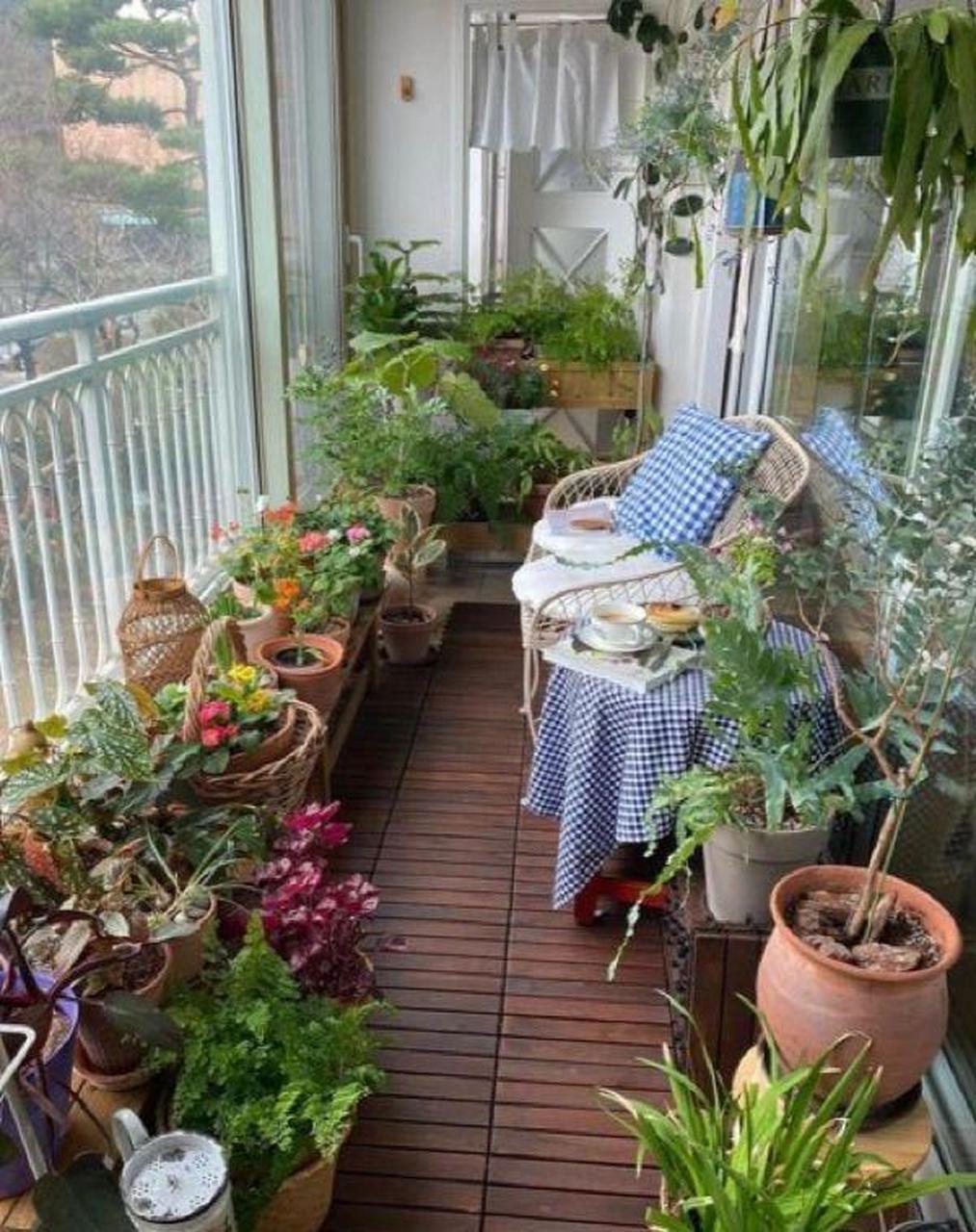 小阳台改绿植花园,在家也能看花赏春.