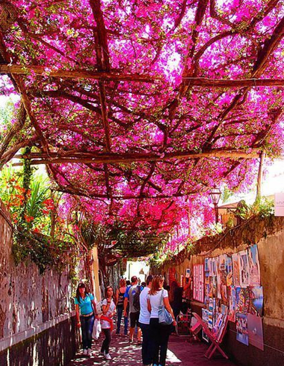 我独酌山外小阁楼 窗外渔火如豆