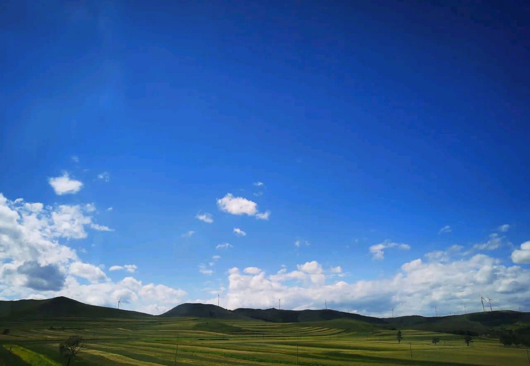 昨天,一个最好的朋友打电话给我,让我帮她担保去银行签字.