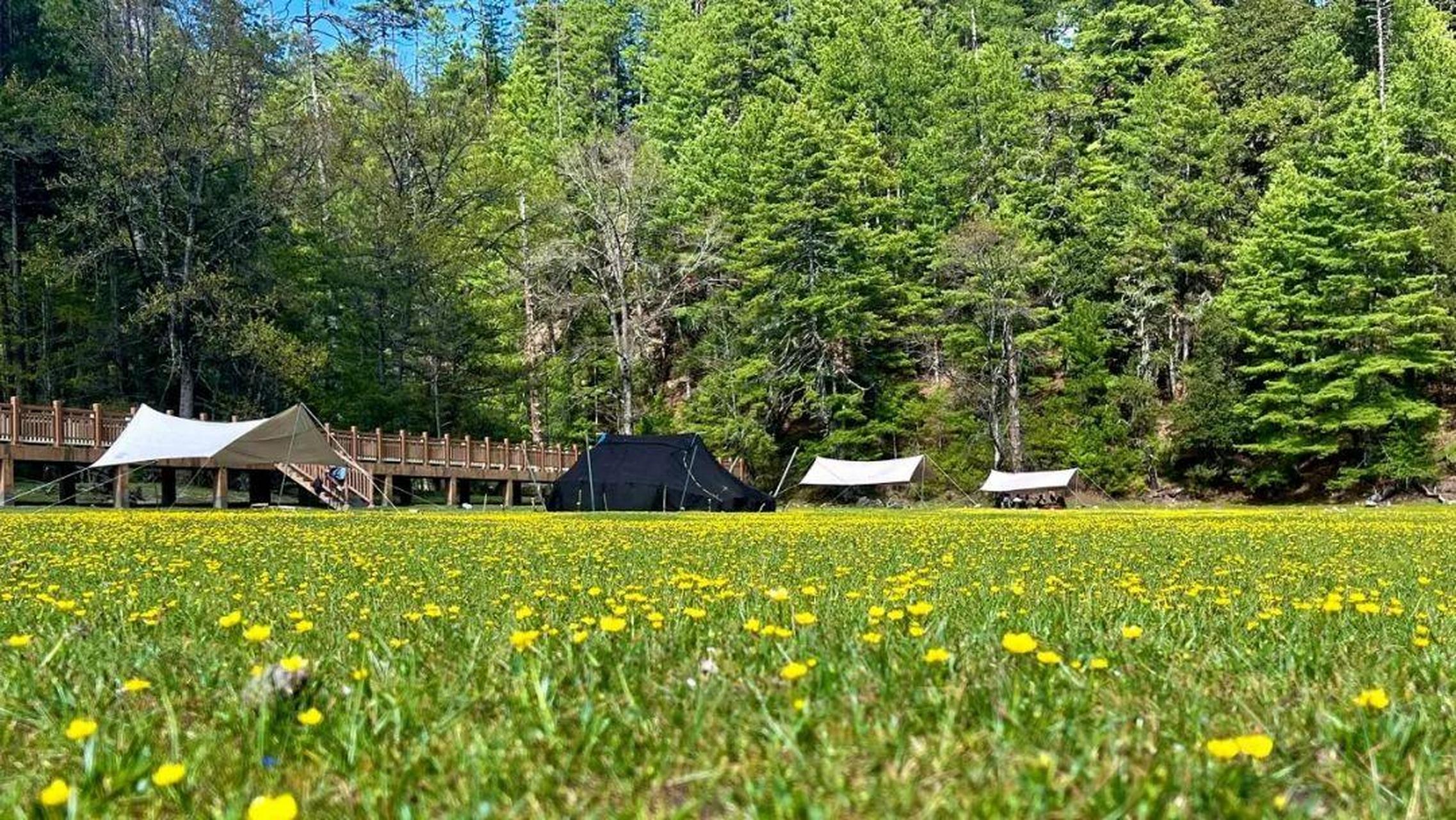 热榜之我见#岗云杉林深处的草湖 就如同宝石镶嵌在高山森林之中 矗立