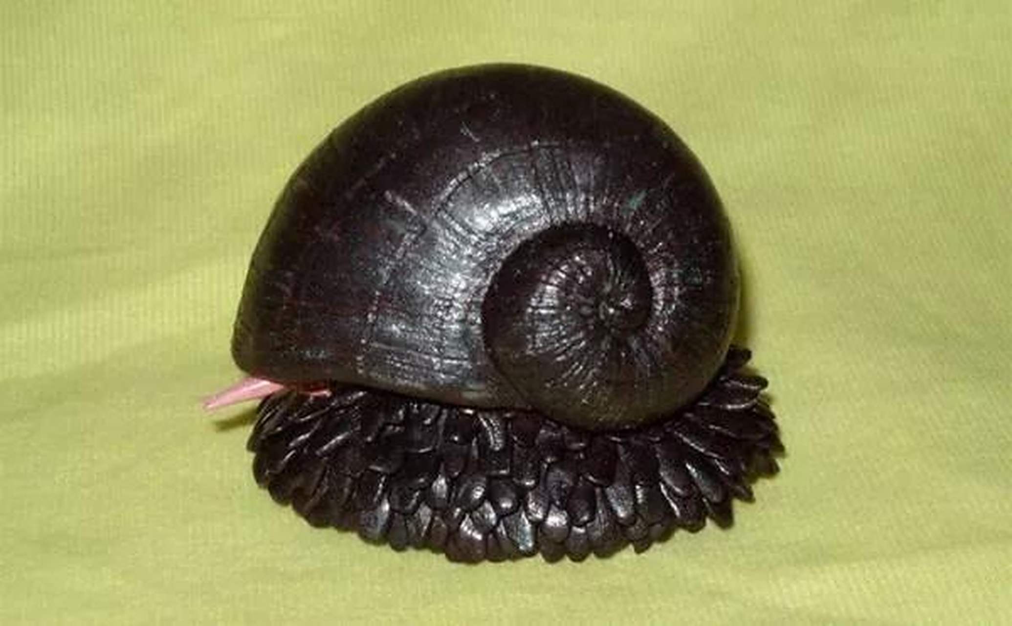 鳞角腹足蜗牛是一种近期才被发现的深海蜗牛,这种蜗牛的身上披着一层