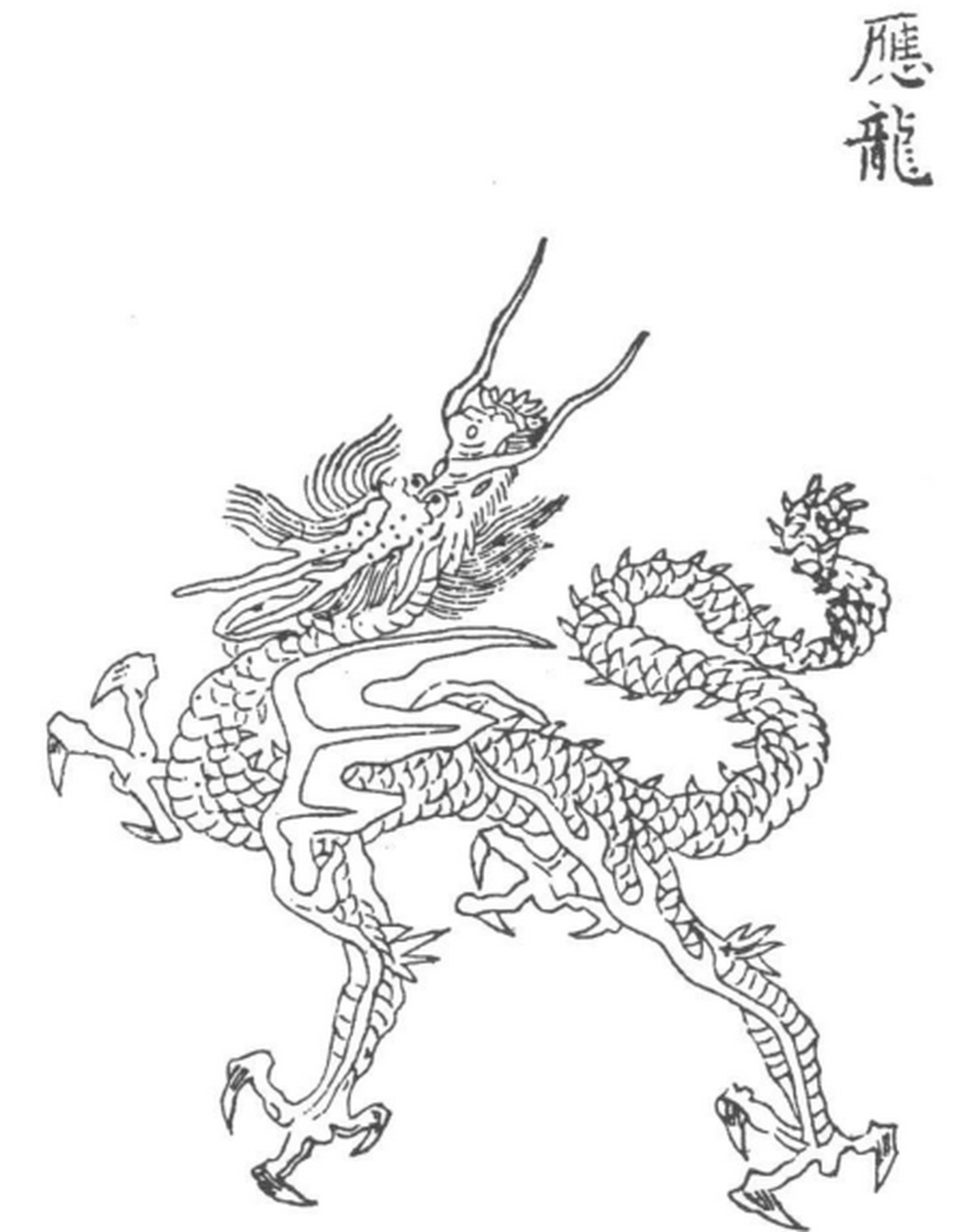 旱而为应龙之状,乃得大雨.