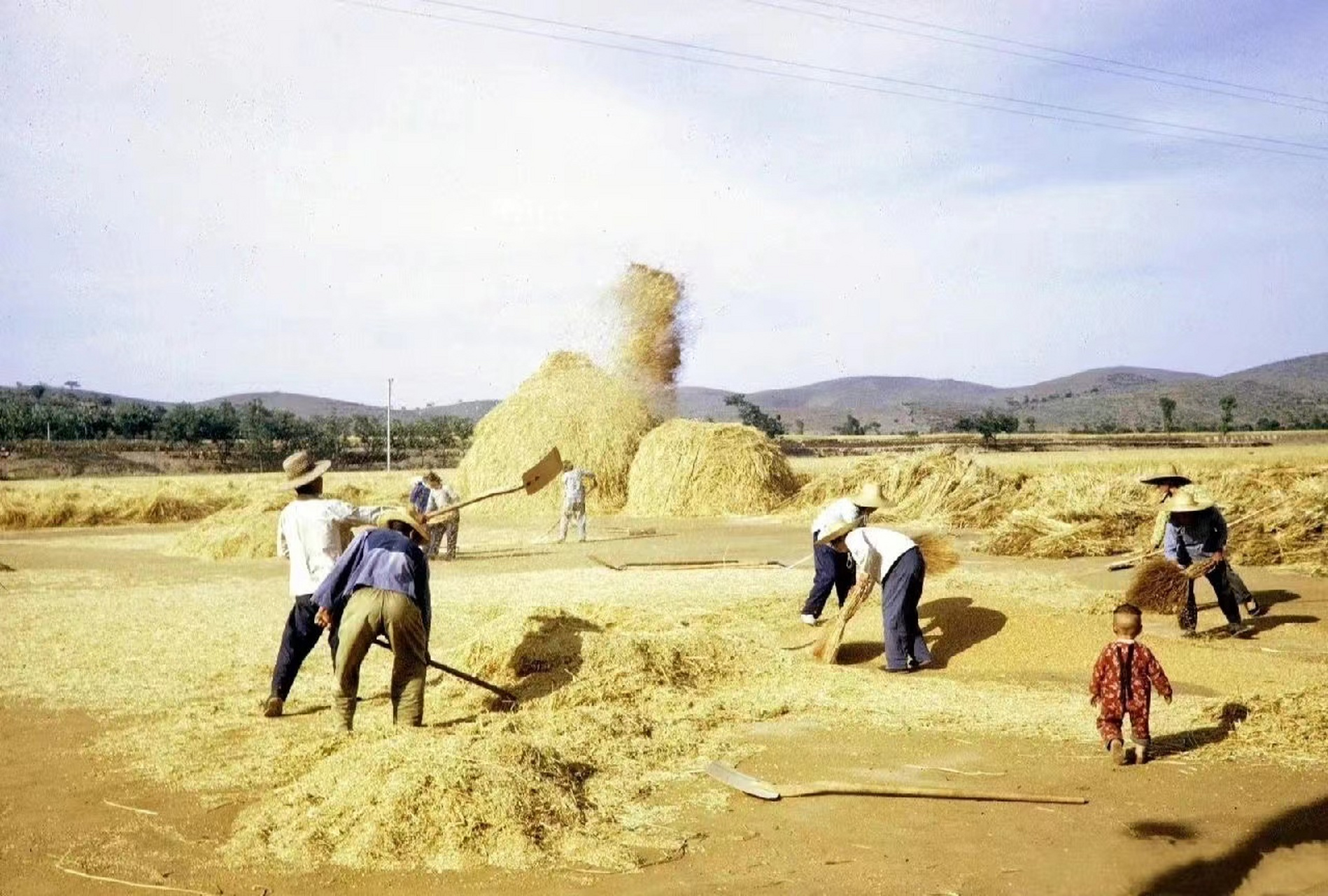 70年代,在打谷场上劳作的农民