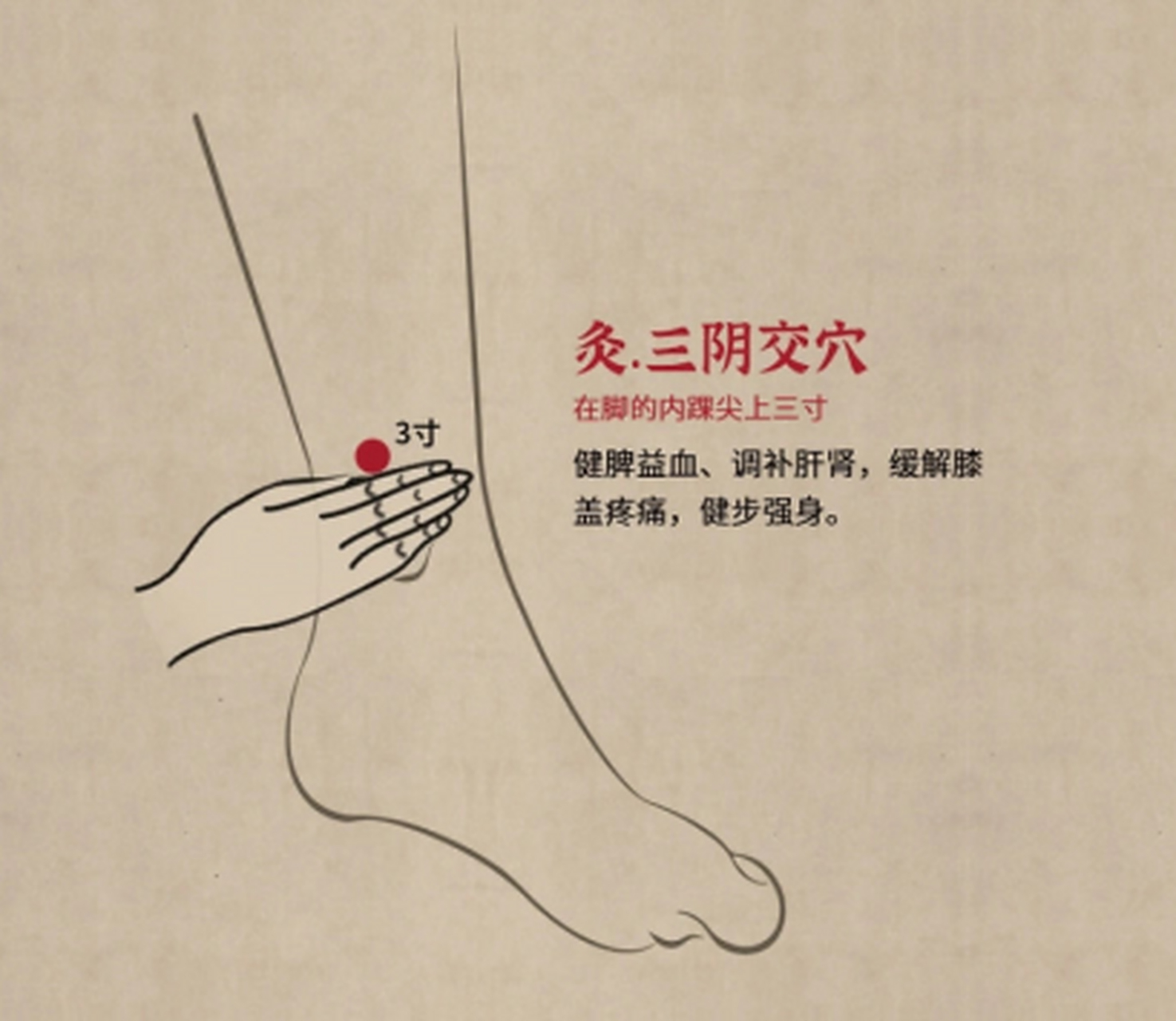 有肝经提供的水湿风气,有肾经提供的寒冷之气,三条阴经气血交会于此