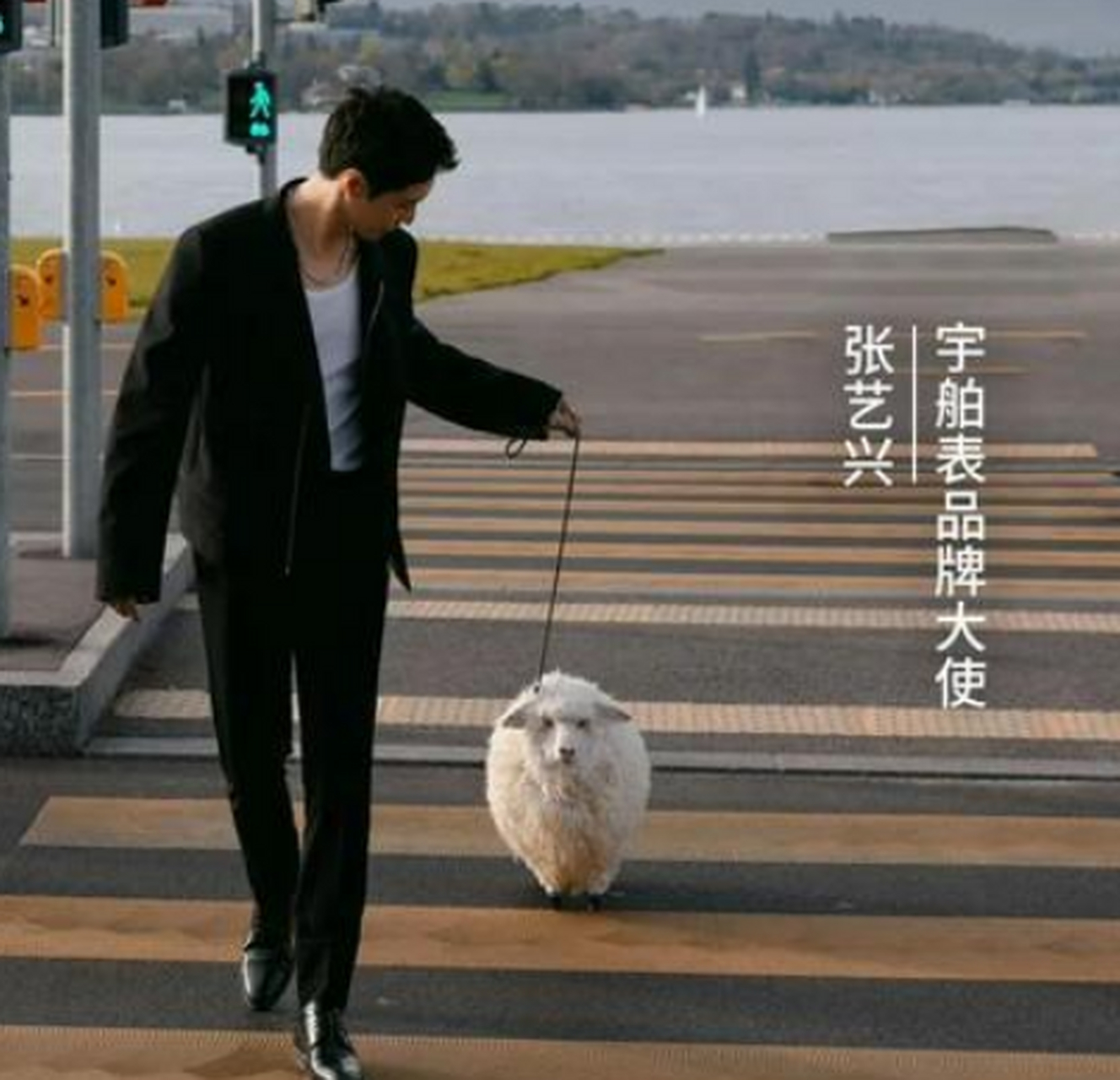我还以为张艺兴牵的是真的羊