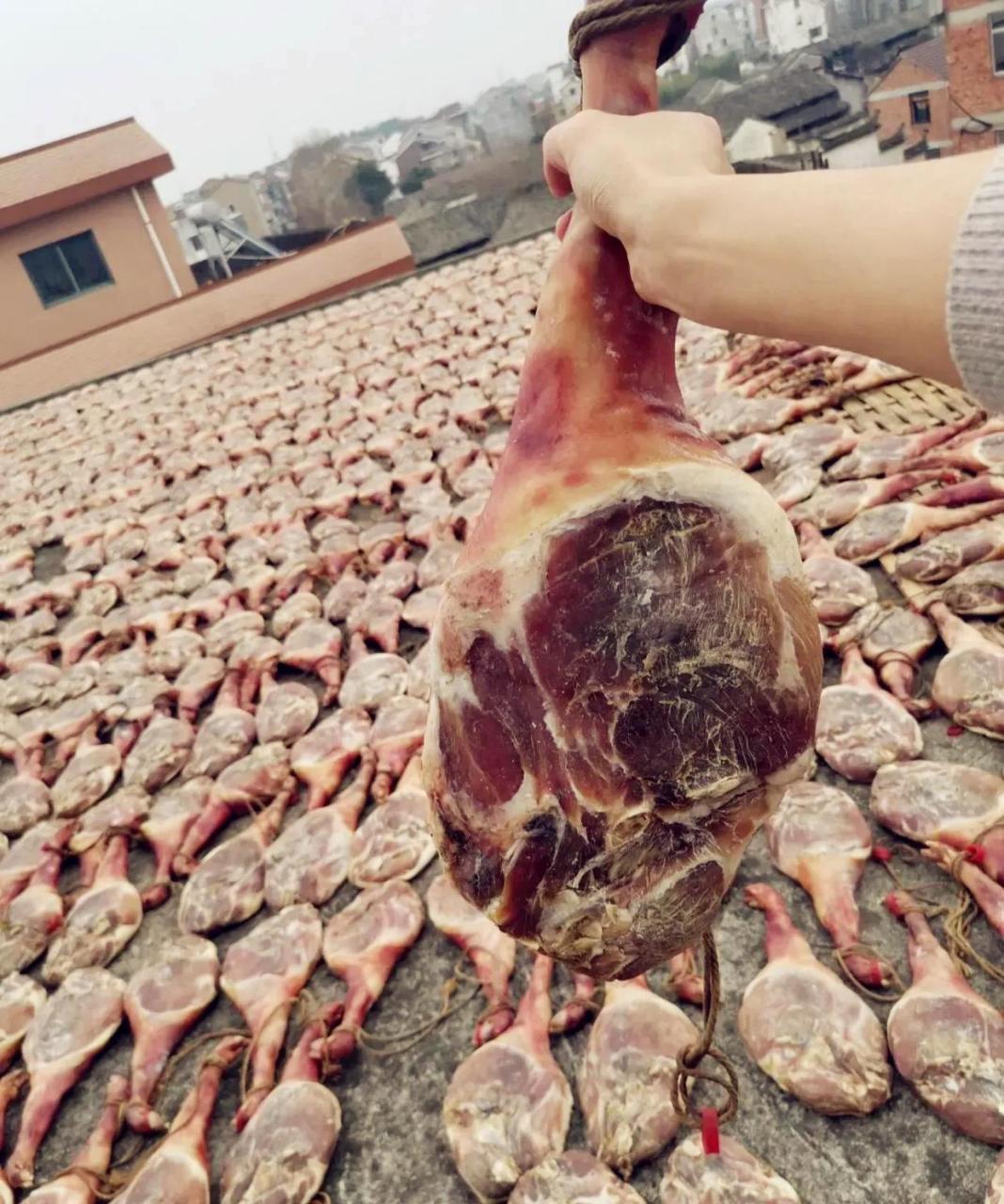 这是大户人家,太羡慕了 #搞笑趣味图