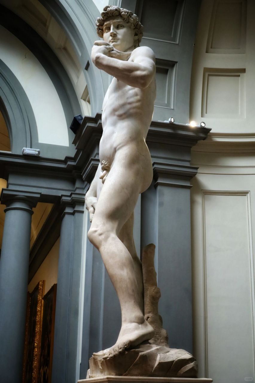 雕像为白色大理石雕成的站立的男性裸体,高5.17米,重约6吨