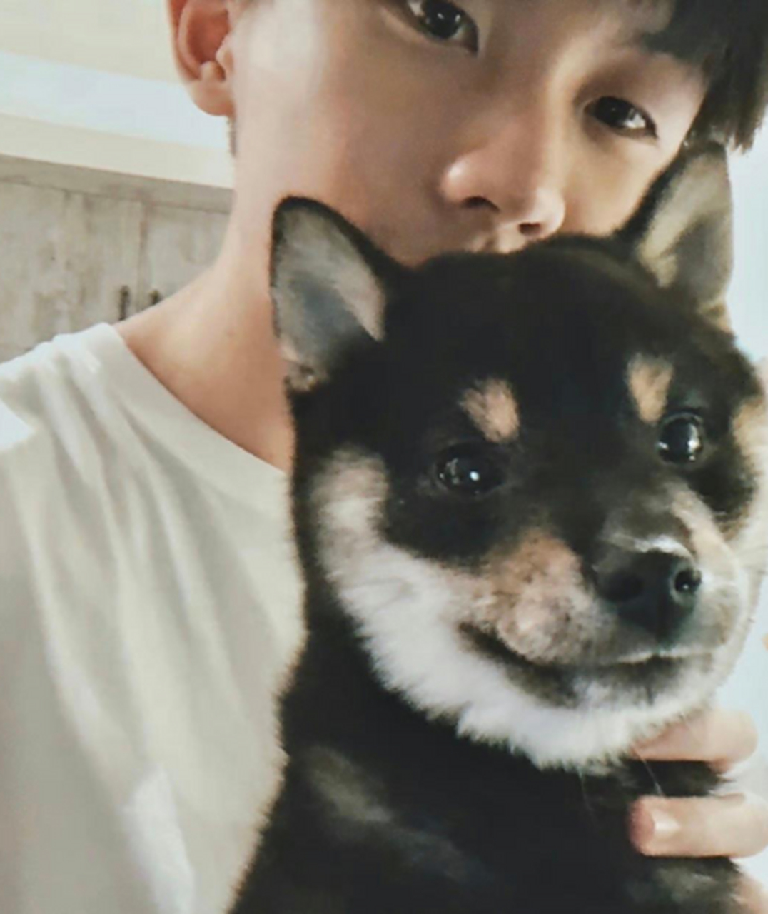 马嘉祺/宋亚轩/张真源 中戏1932都有自己的狗了,六斤是儿子,鼠标是