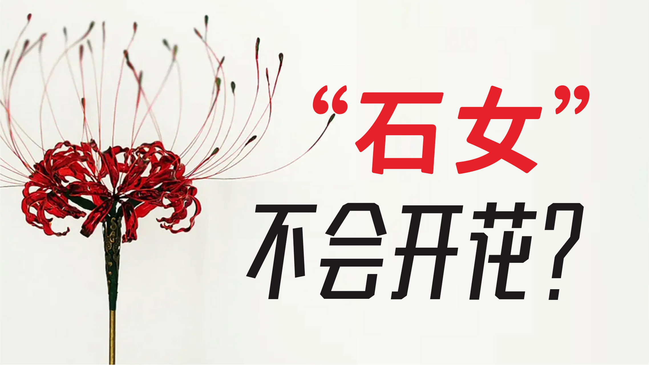 一目了然!什么是石女是什么意思"妈咪百科"-第2张图片-银白博客