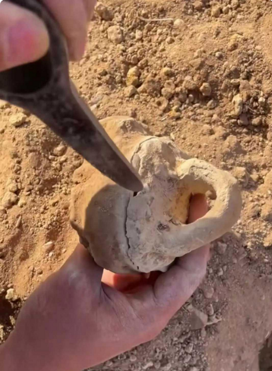 兄弟们,摊牌了,我是人上人了