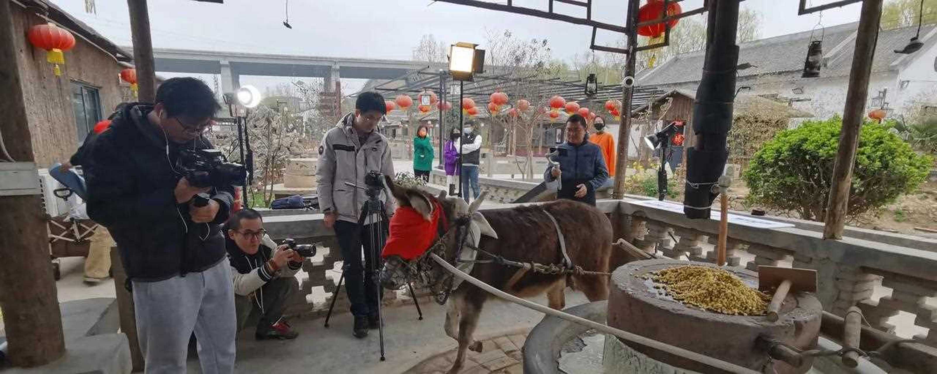 小毛驴蒙眼拉磨,拐豆腐!