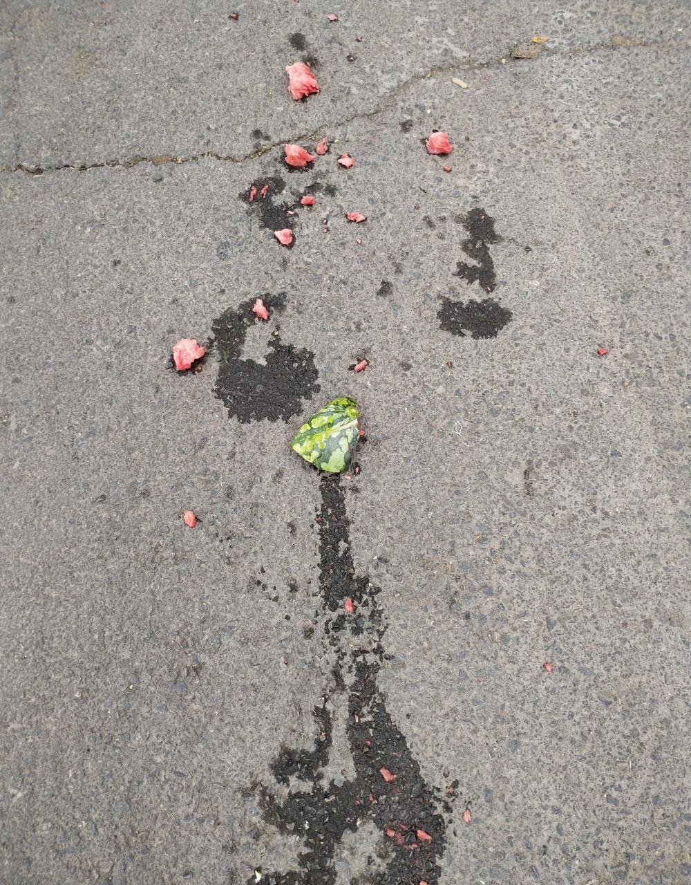 骑电动车下班回家,路过西瓜摊买了两个,车筐放不下