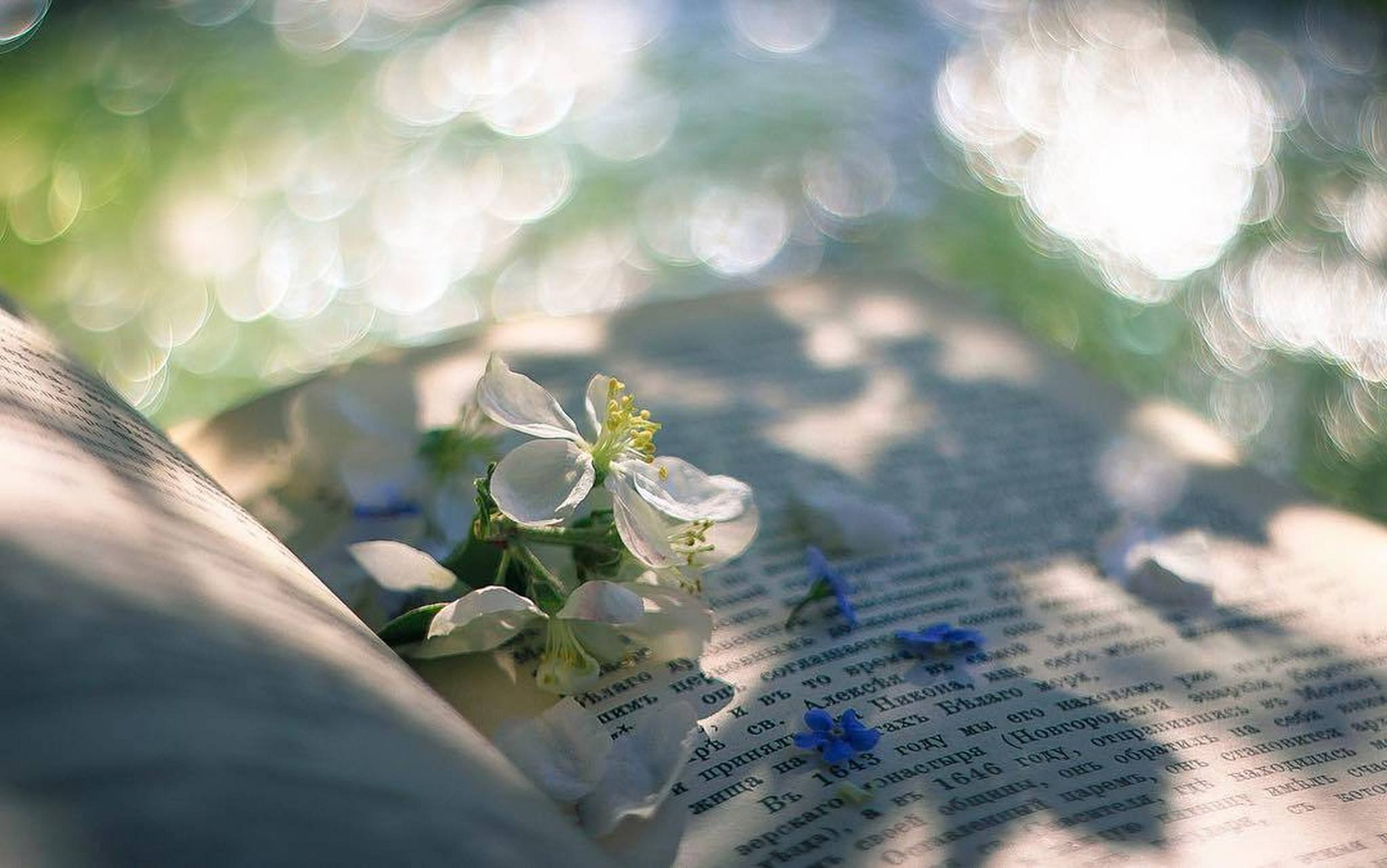 别为难自己,不辜负岁月. #禅意古风