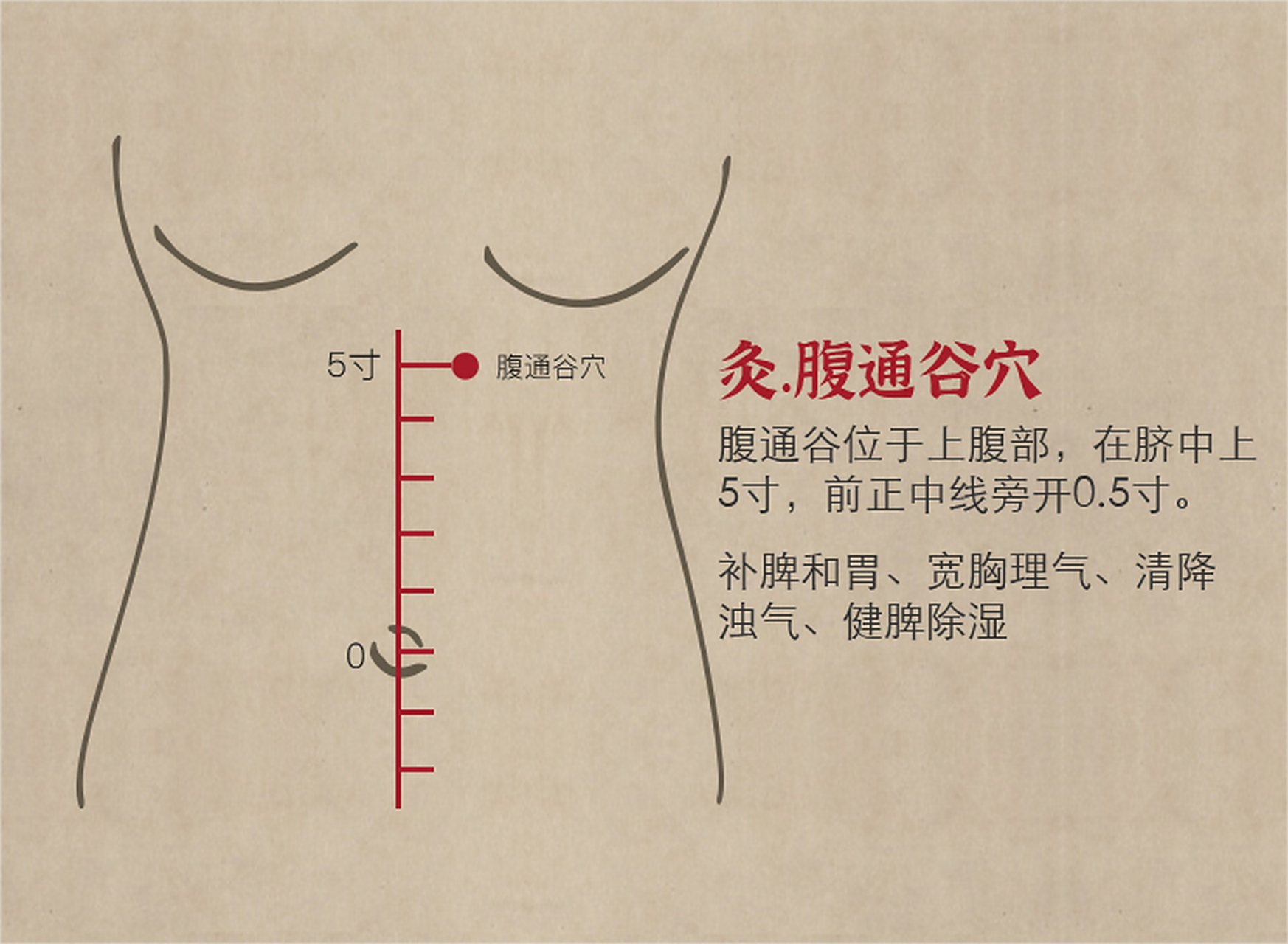 属足少阴肾经,也是冲脉,肾经的交会穴;腹即腹部,通即通过,谷即水谷