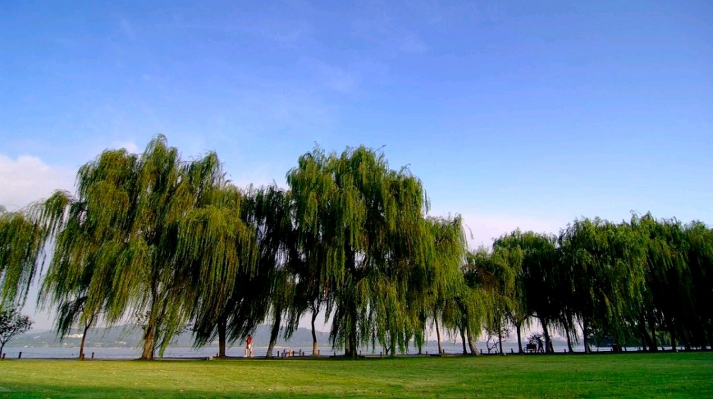 柳浪闻莺是杭州西湖风景名胜区的一部分,位于西湖东南岸,因柳树丛中可