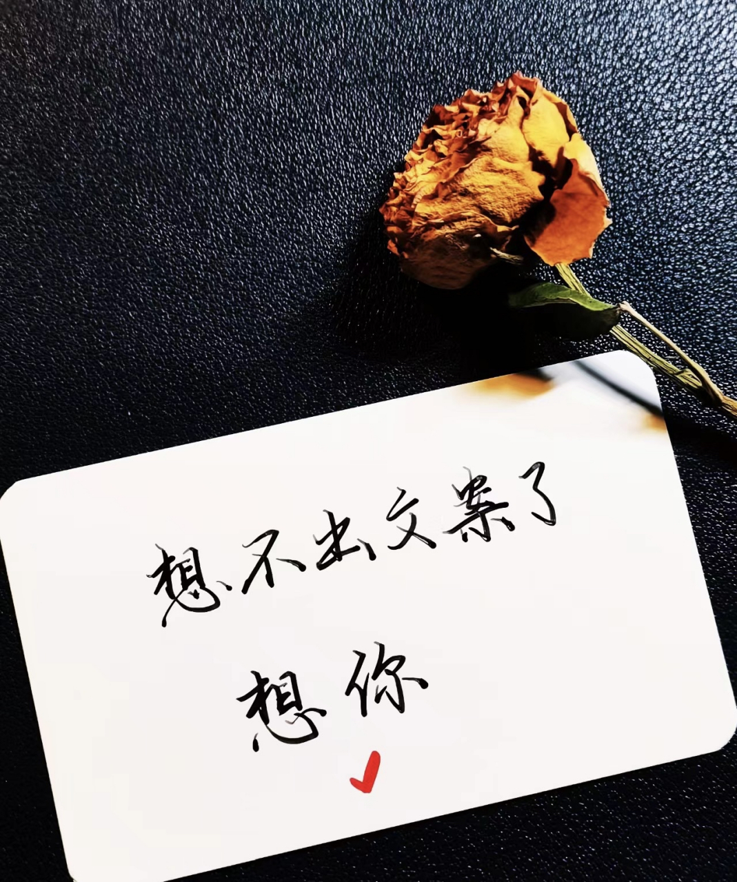 想不出文案了 想你