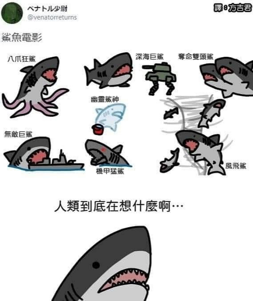 鲨鱼:人类到底在想什么呀?[疑问]#趣图搞笑