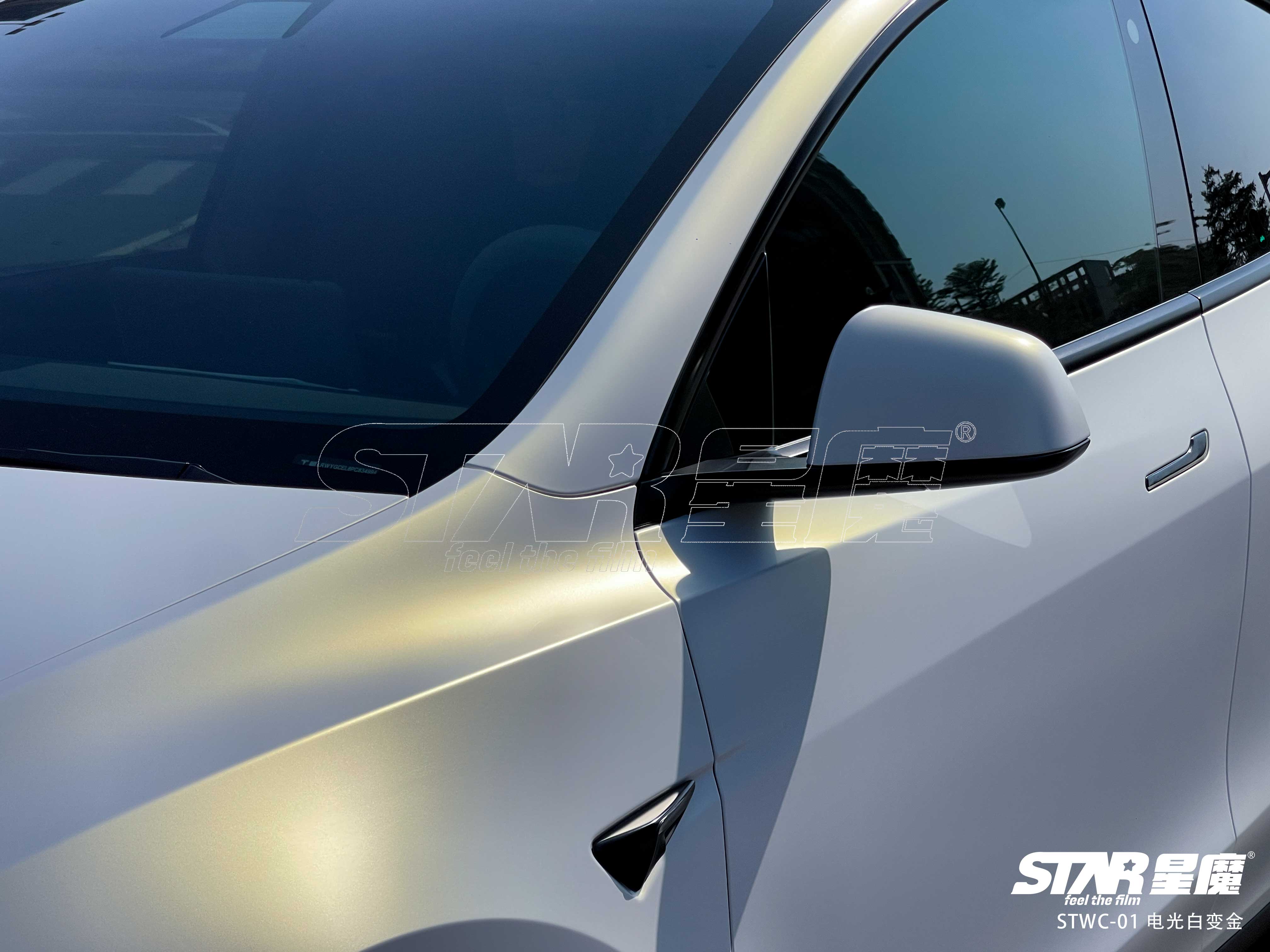 model y 电光白变金