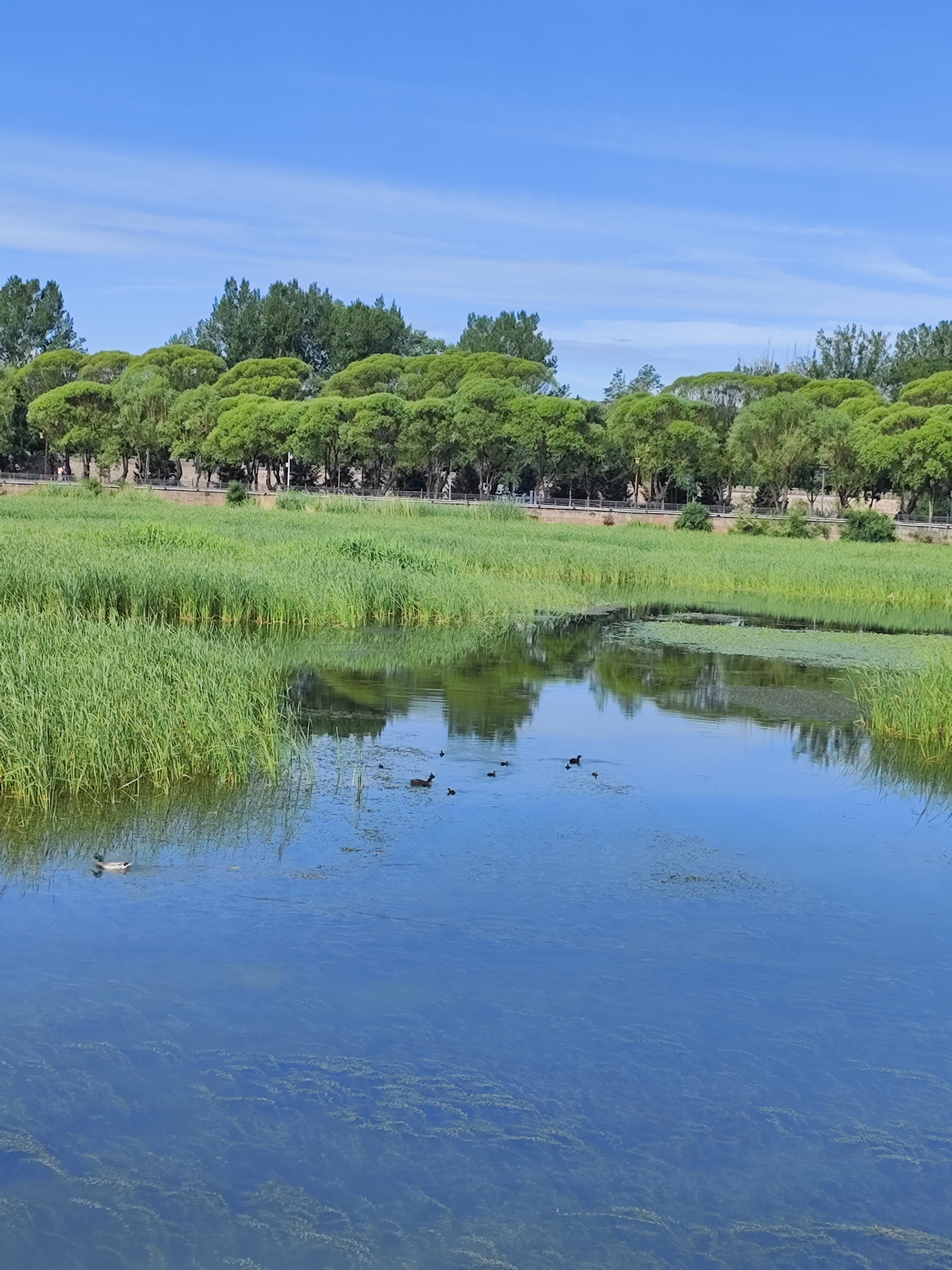 北京地区车辆限行尾号4和9 今日天气 今天白天晴转多云西部北部有