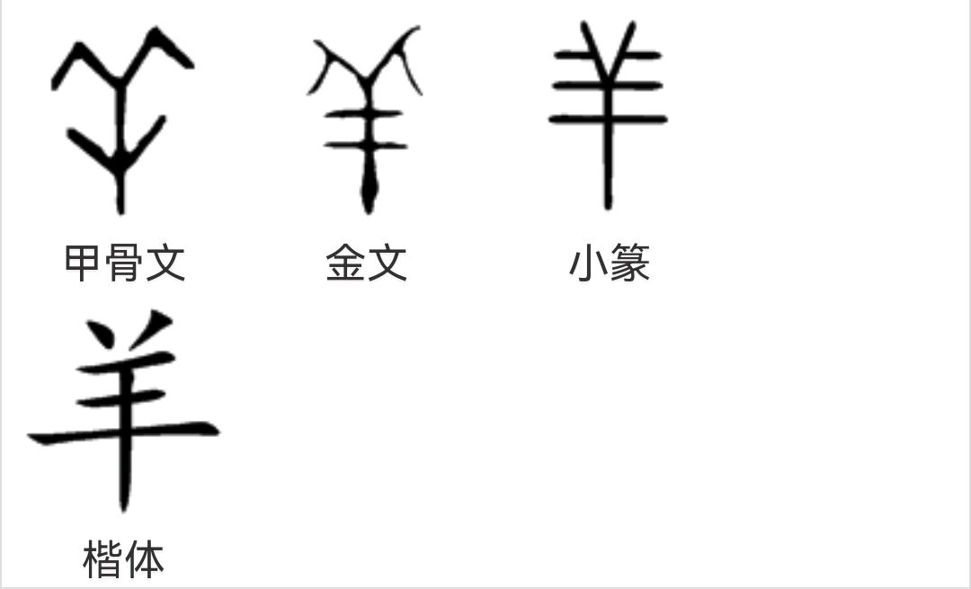 羊的汉字演变过程图图片