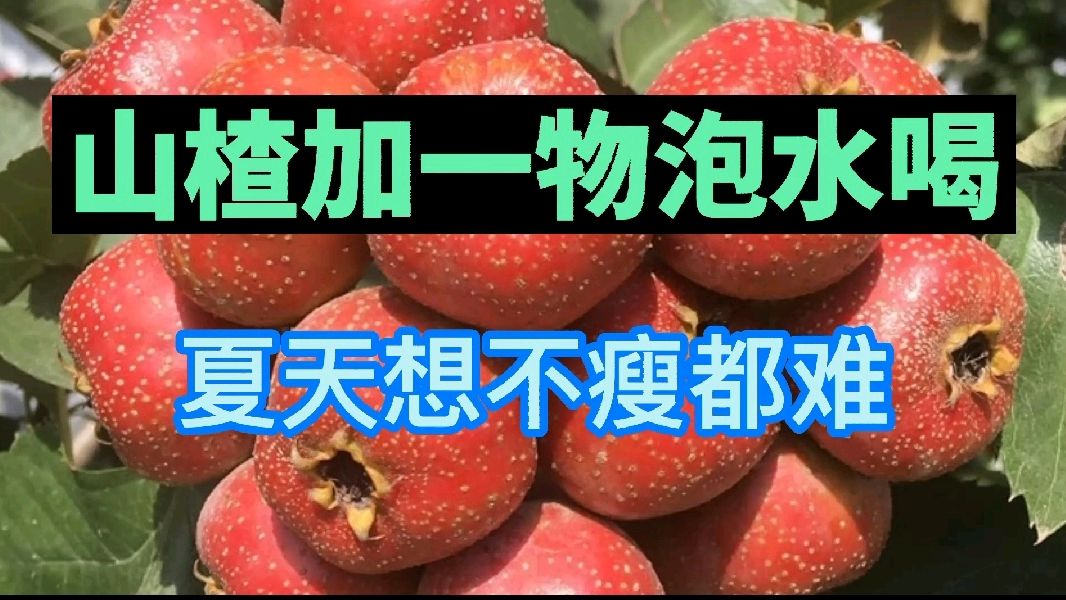 肚子赘肉多?山楂配一物,平坦小腹,帮你瘦出小蛮腰