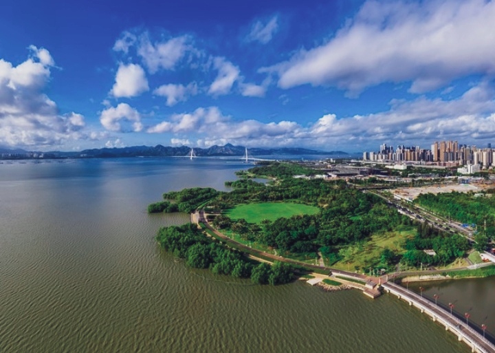 深圳湾公园:海滨美景与文化景观的完美融合