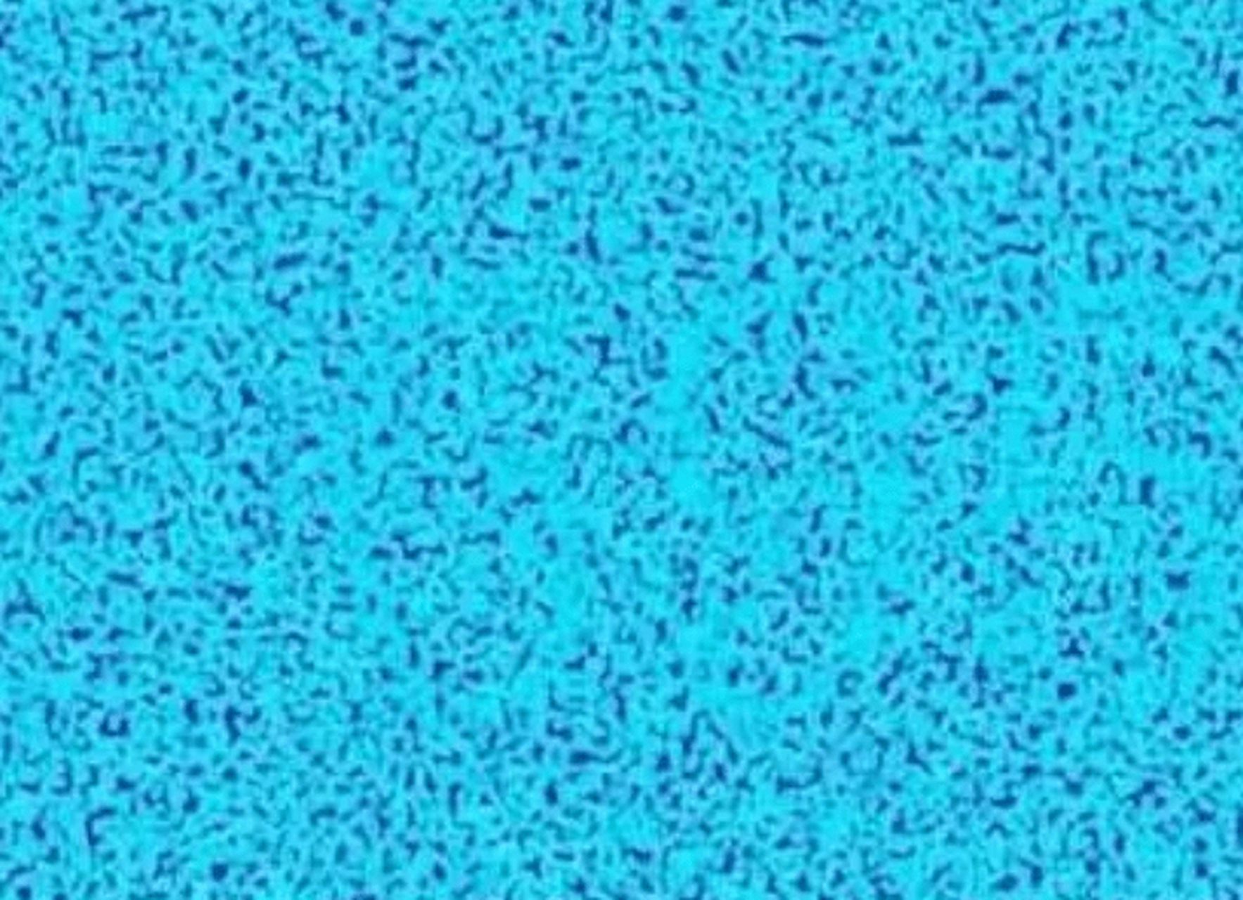 这是一张飞行员测试色盲色弱的图片,据说只有万分之