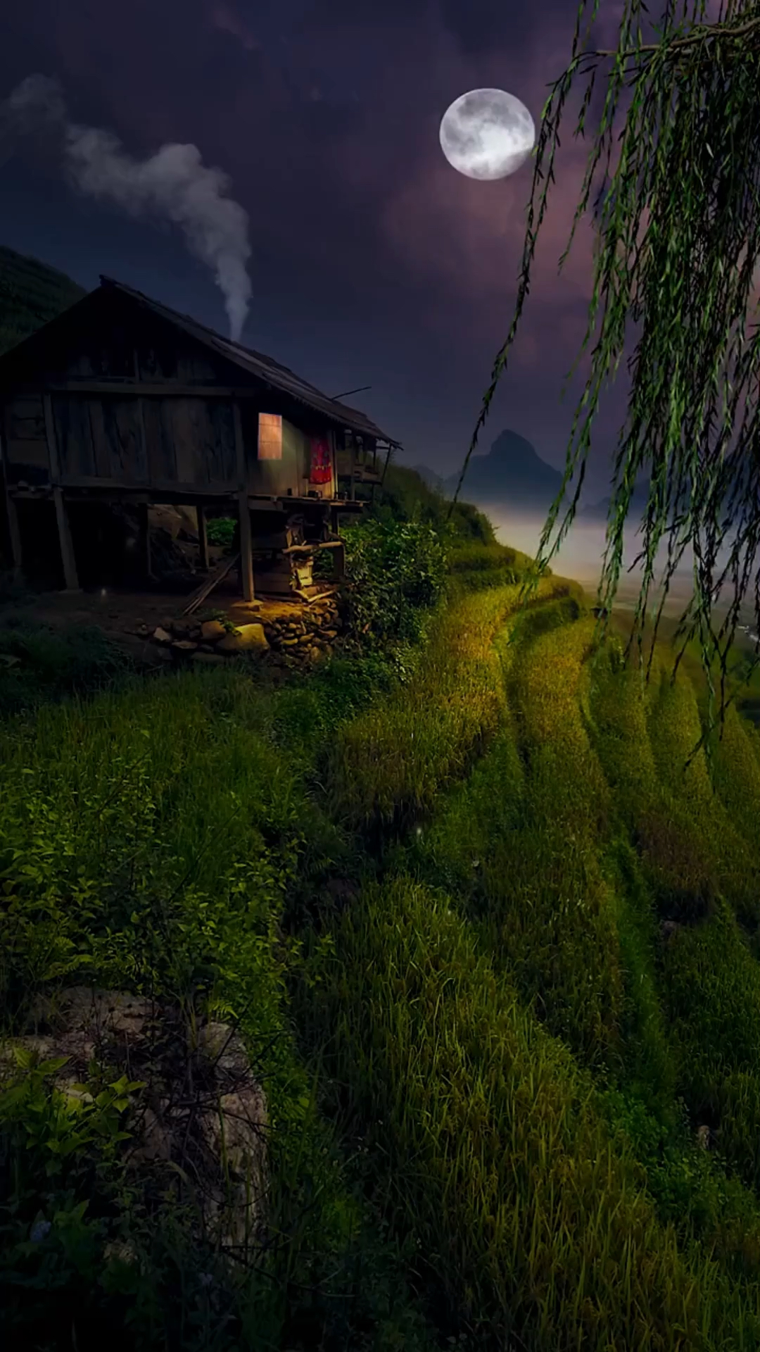 夜晚稻田里的蛙声没有觉得烦躁,反而让人内心更绝恬静,纯粹