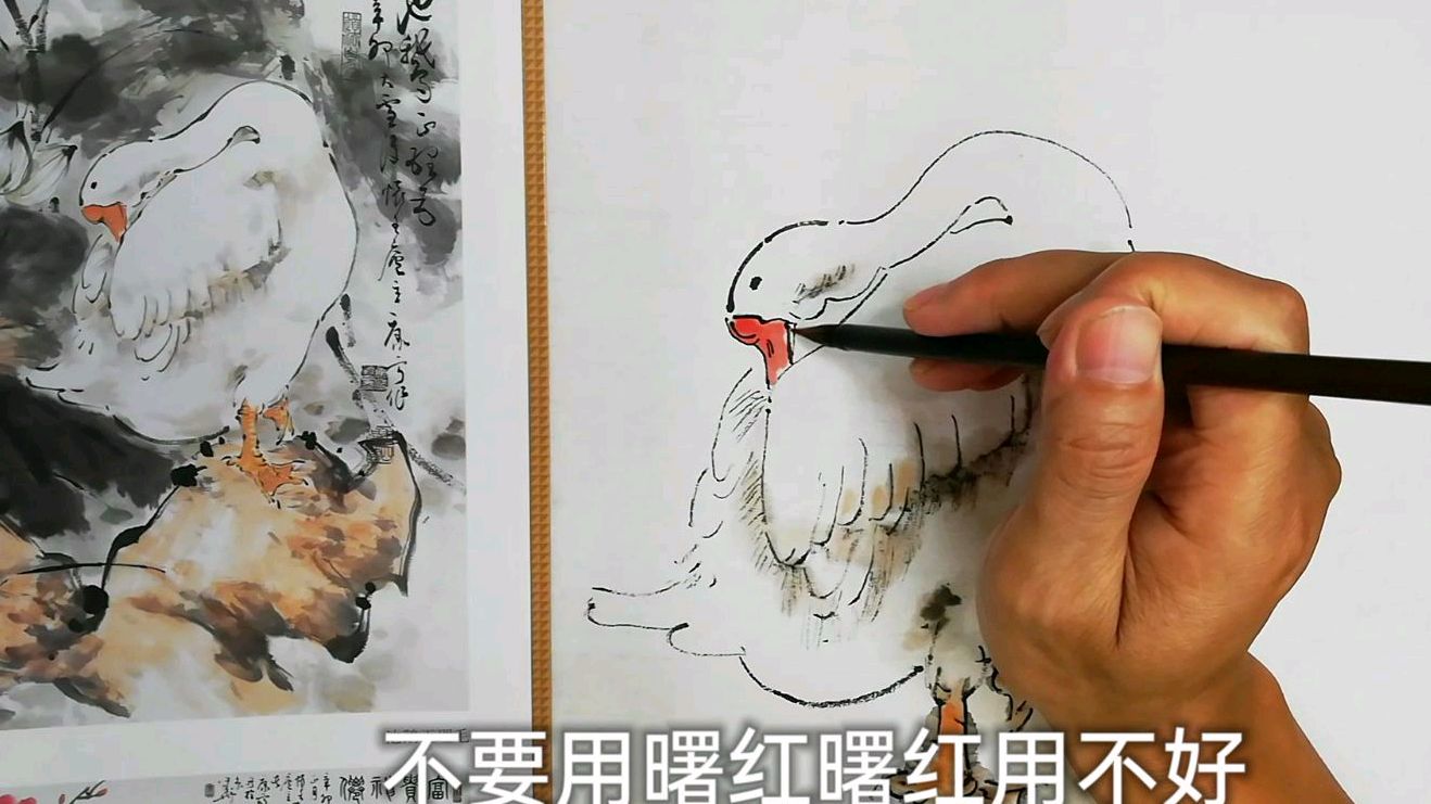 向康宁学画鹅,纯白描,稍加色,注意造型要准确