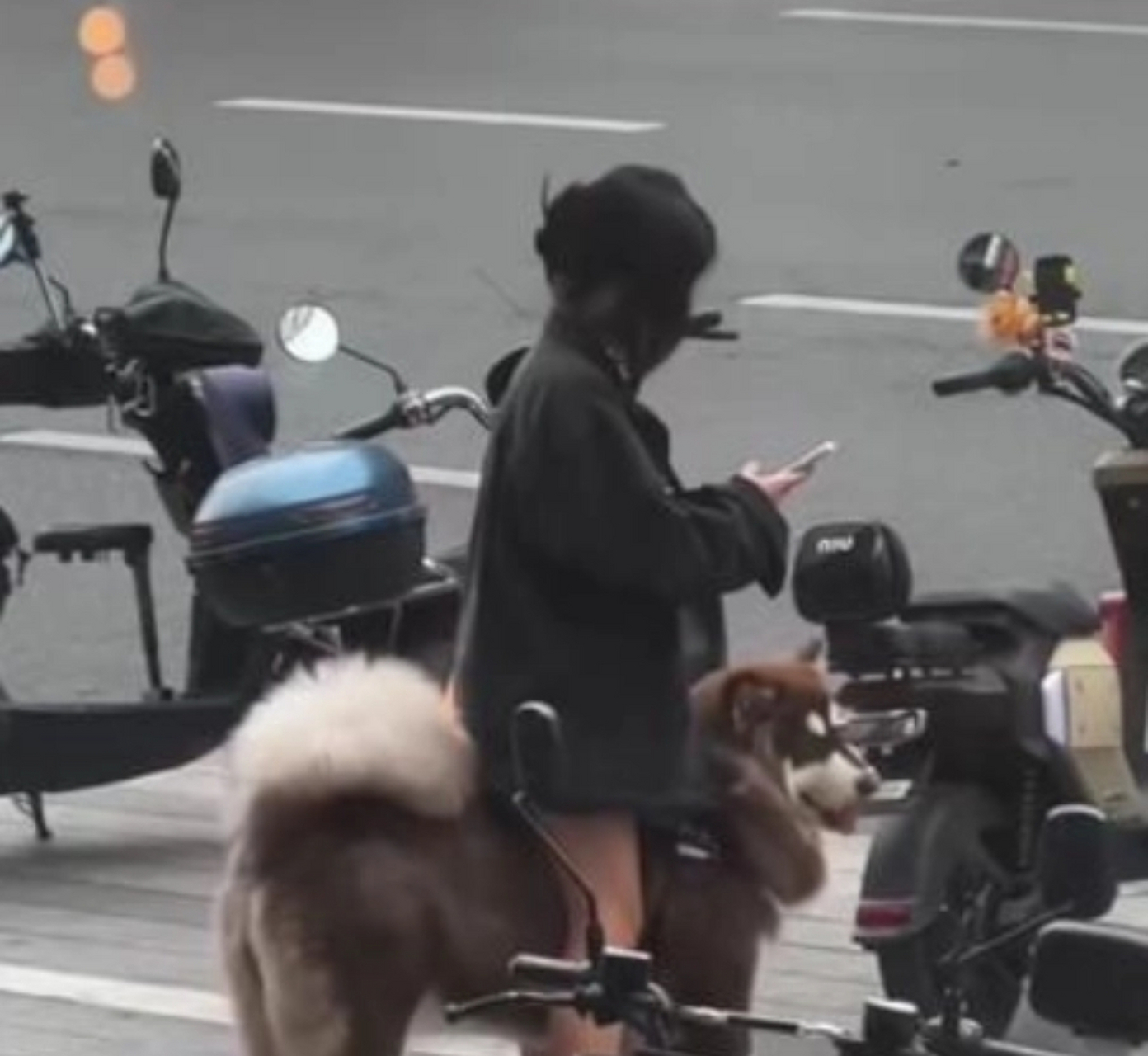 骑狗烂裤裆[大笑]