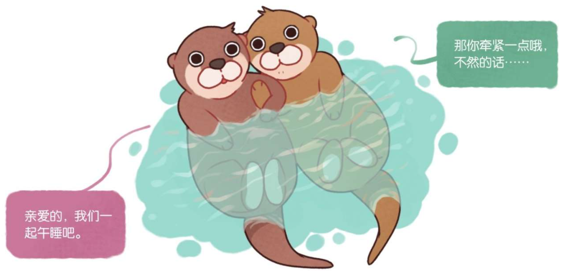 海獭会和同伴手牵着手一起睡觉