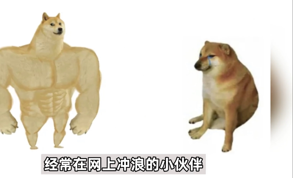 知名"废柴"表情包柴犬balltze离世