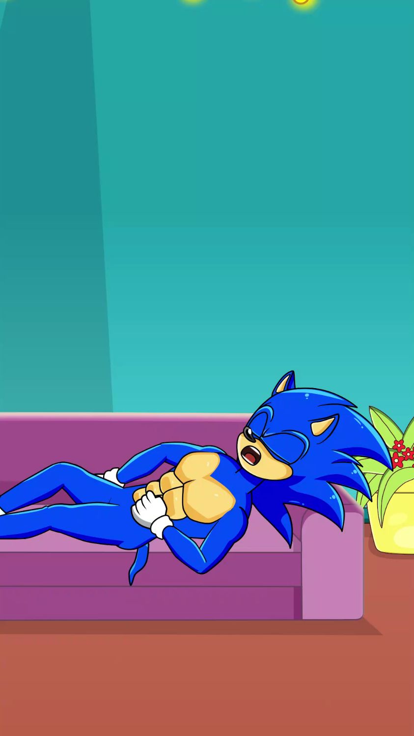 索尼克和艾米有趣的故事