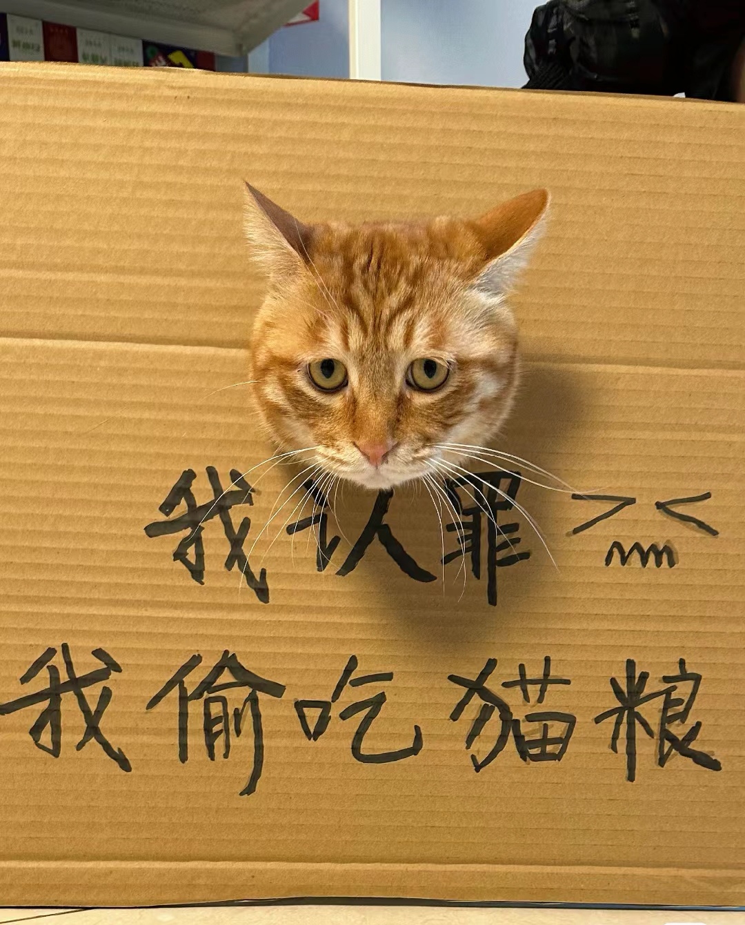 认错态度属实不咋地
