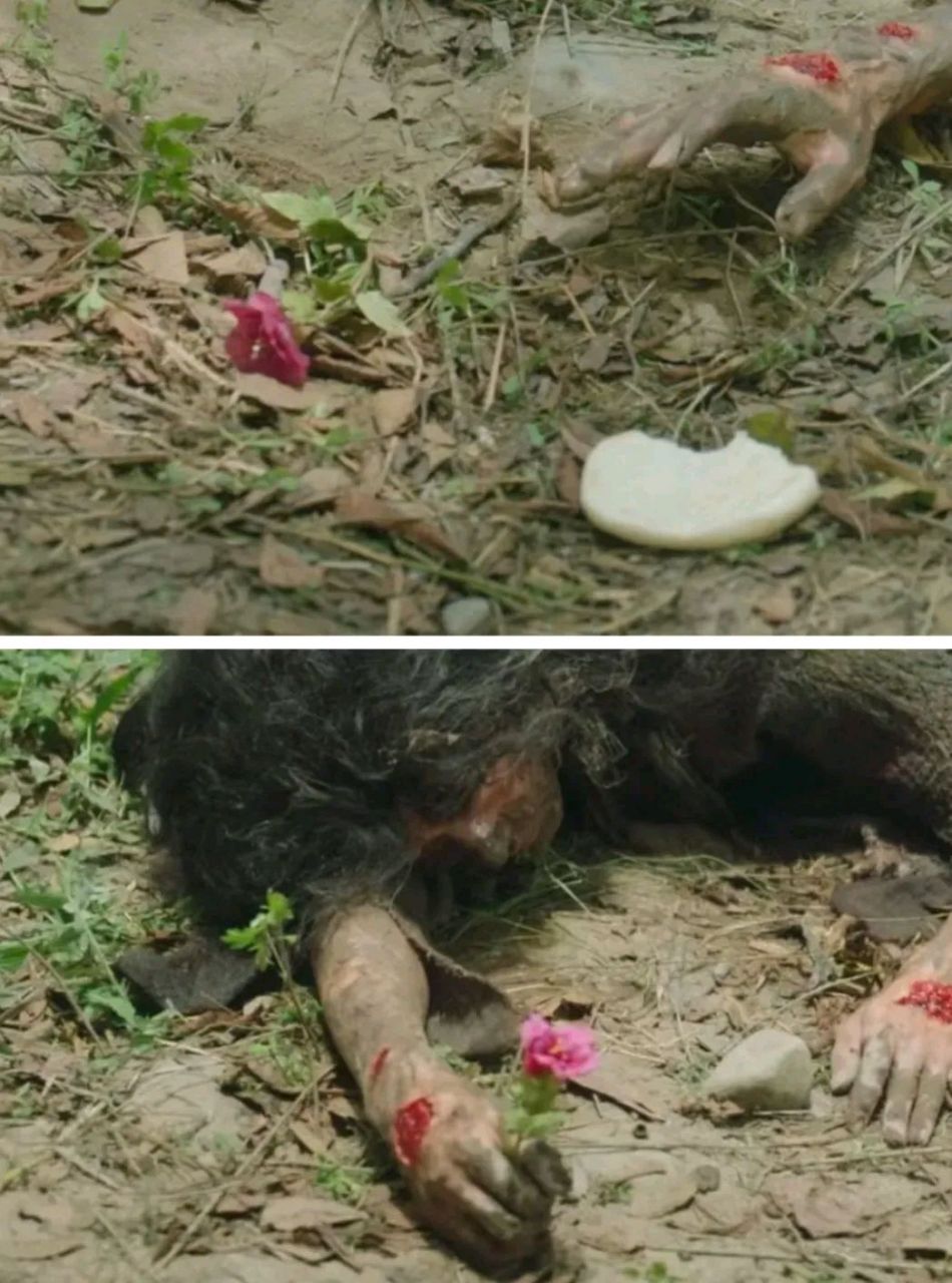 饼就在手边,涂山璟还是选择了花  他已经没有生的