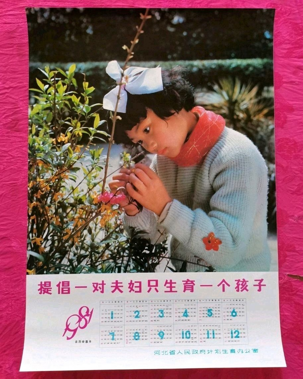 1980年开始实施计划生育政策, 在这一年,中共中央,国务院提出,要普遍