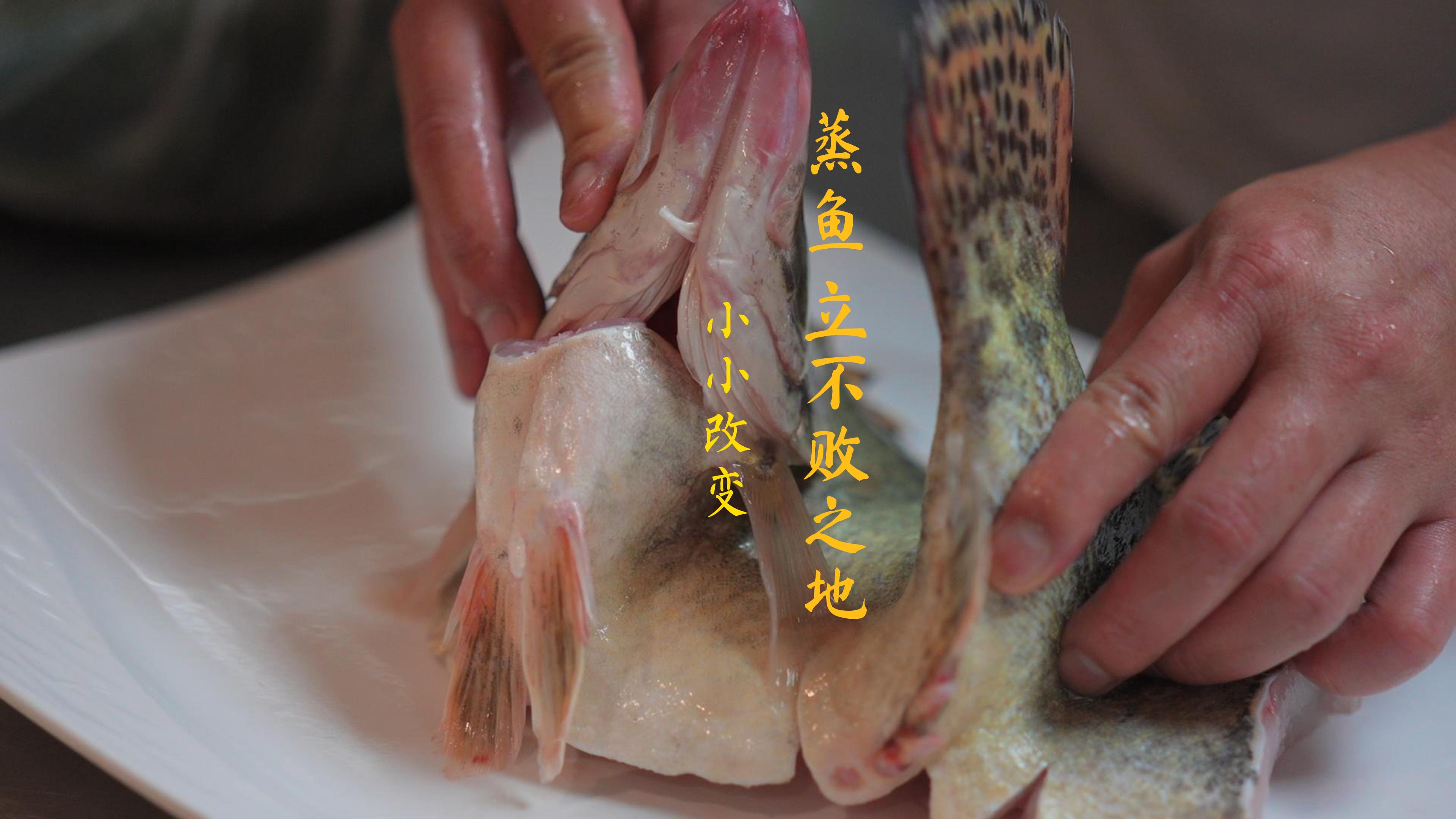 立鱼不败之地,烹出人生哲学