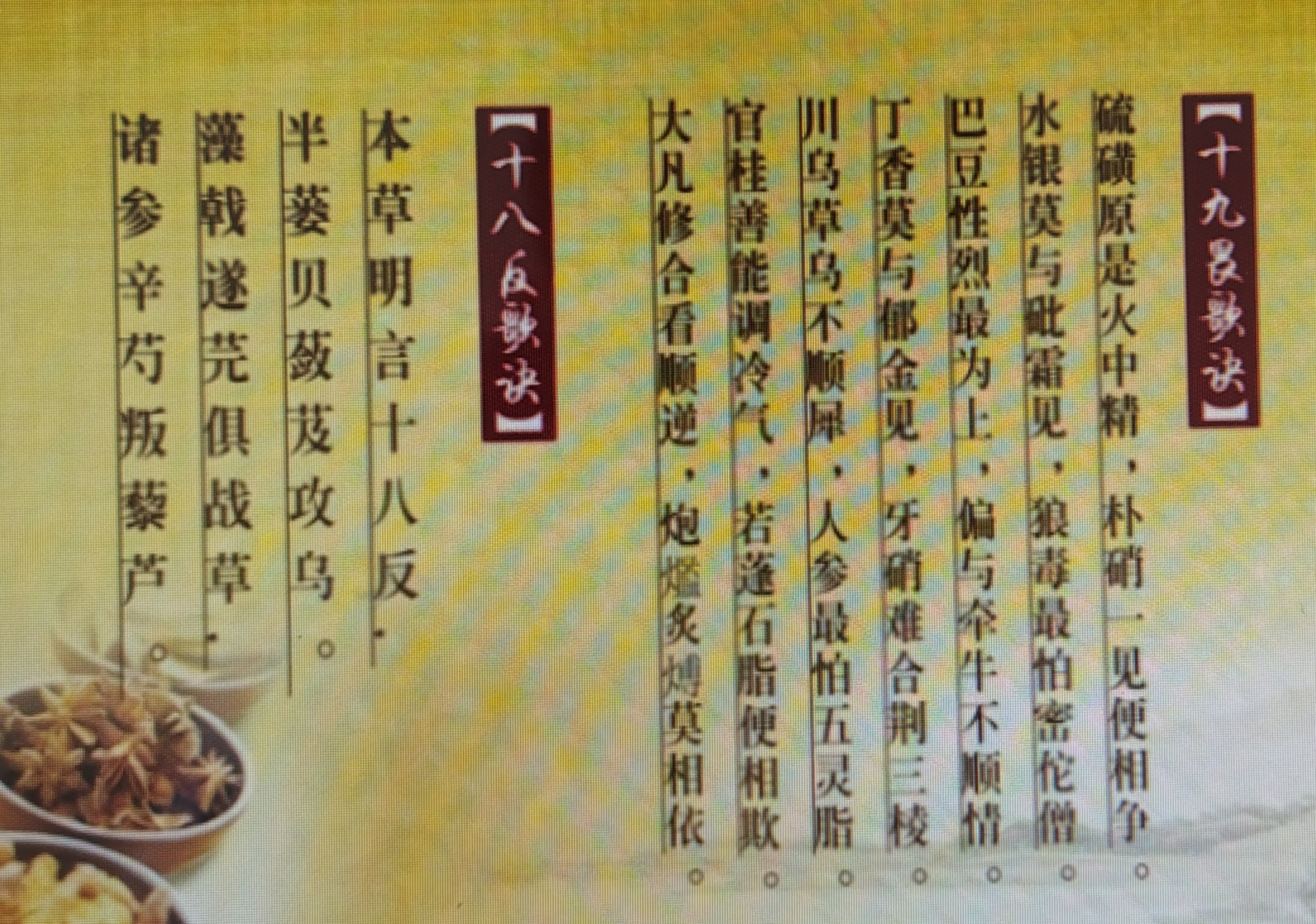 中药"十八反""十九畏"歌诀